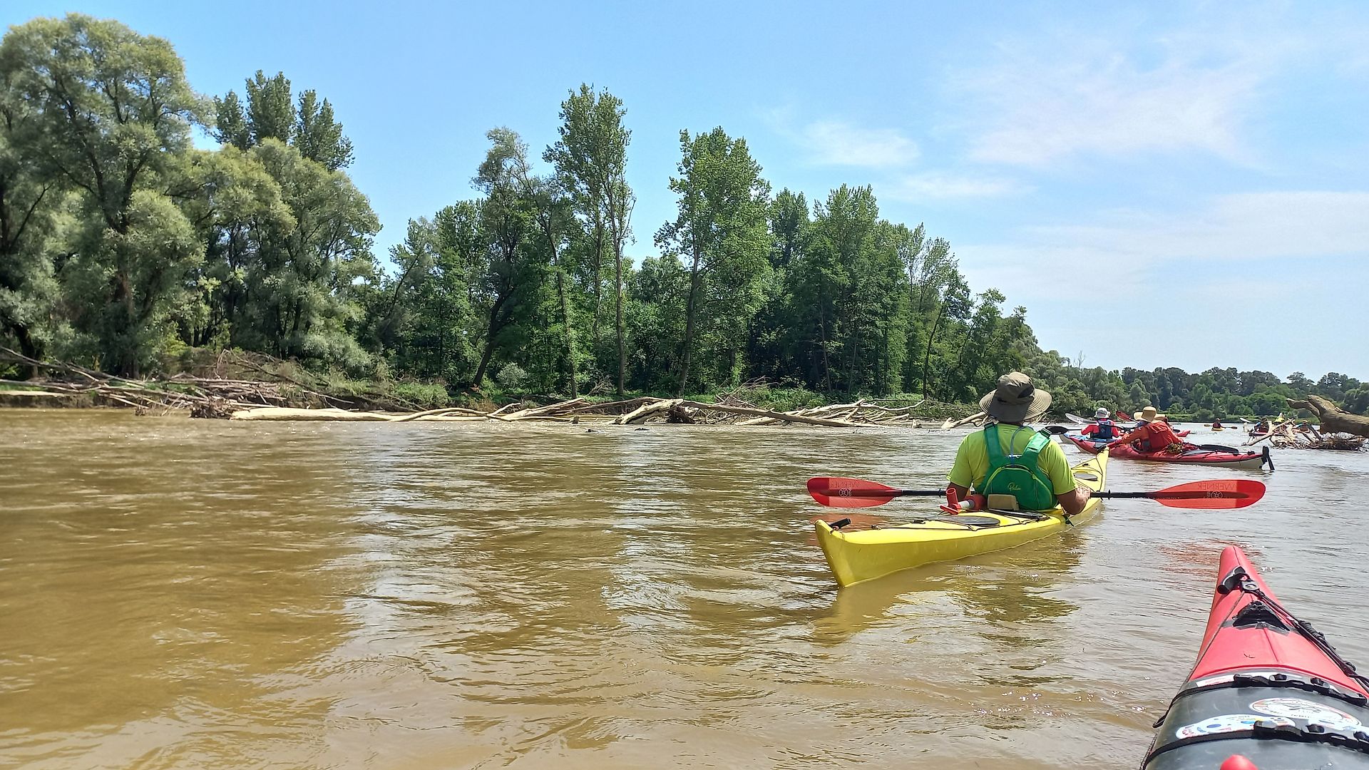 Kajak, Fluss Mur (Mura), Abschnitt Sveti Martin na Muri - Mündung in Drau noch mehr Baumleichen 