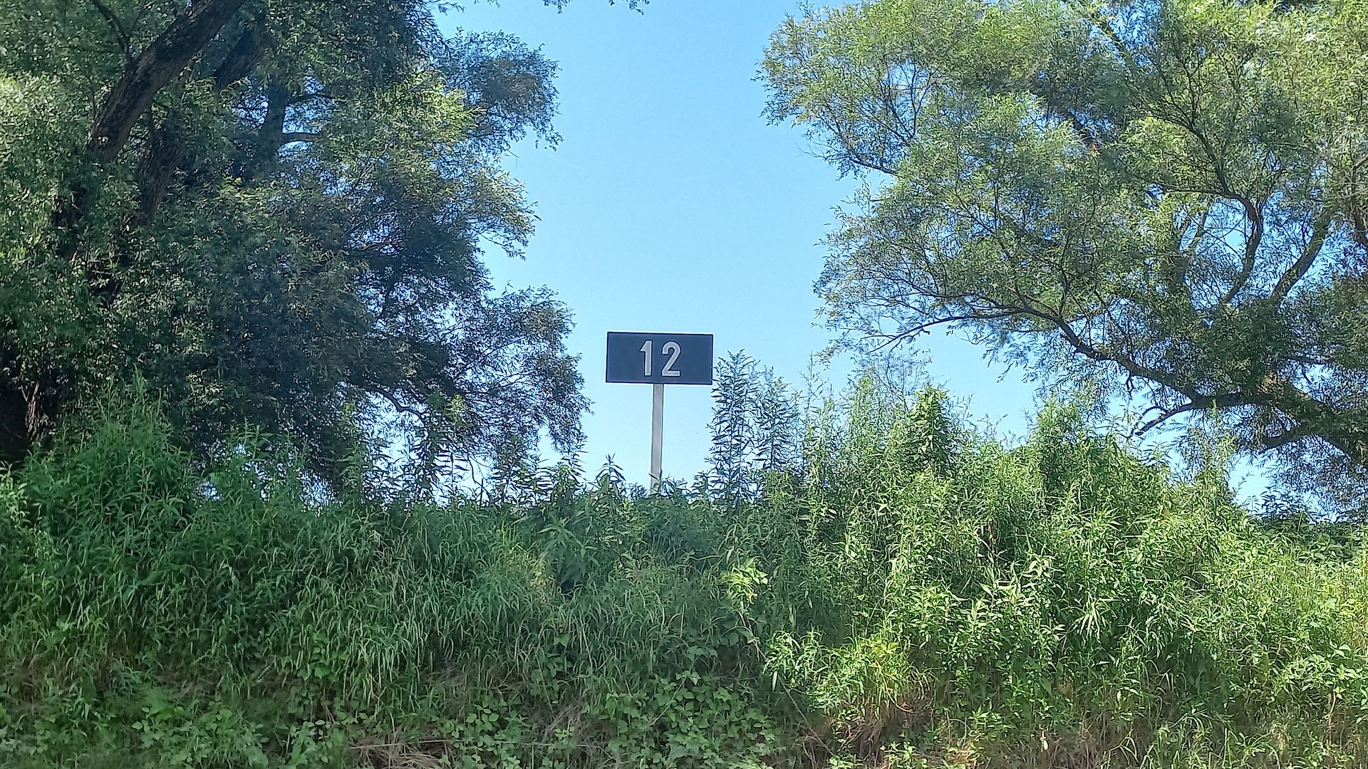 Kajak, Fluss Mur (Mura), Abschnitt Sveti Martin na Muri - Mündung in Drau noch 12km bis zur Mündung 