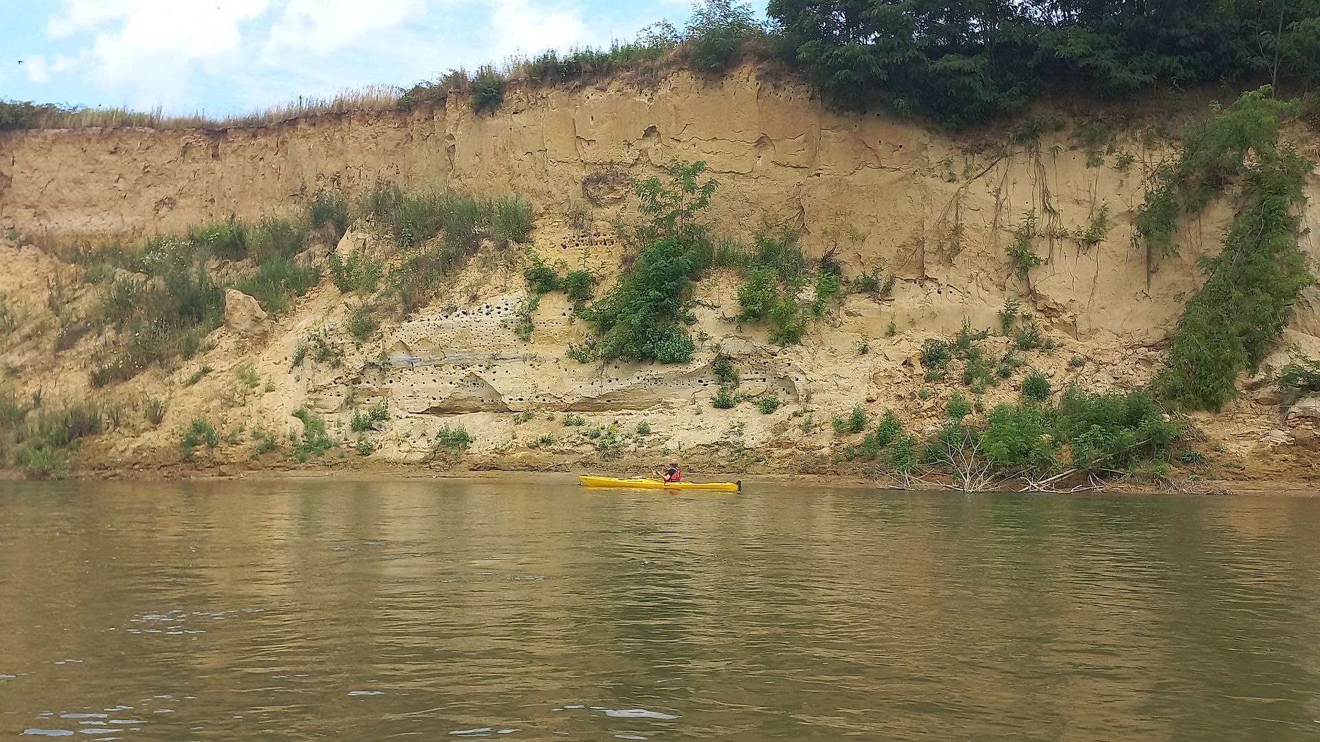 © Dieter K. 21.7.23 Kajak, Fluss Drau (Drava), Abschnitt Őrtilos - Mündung in Donau Bruthöhlen der Bienenfresser