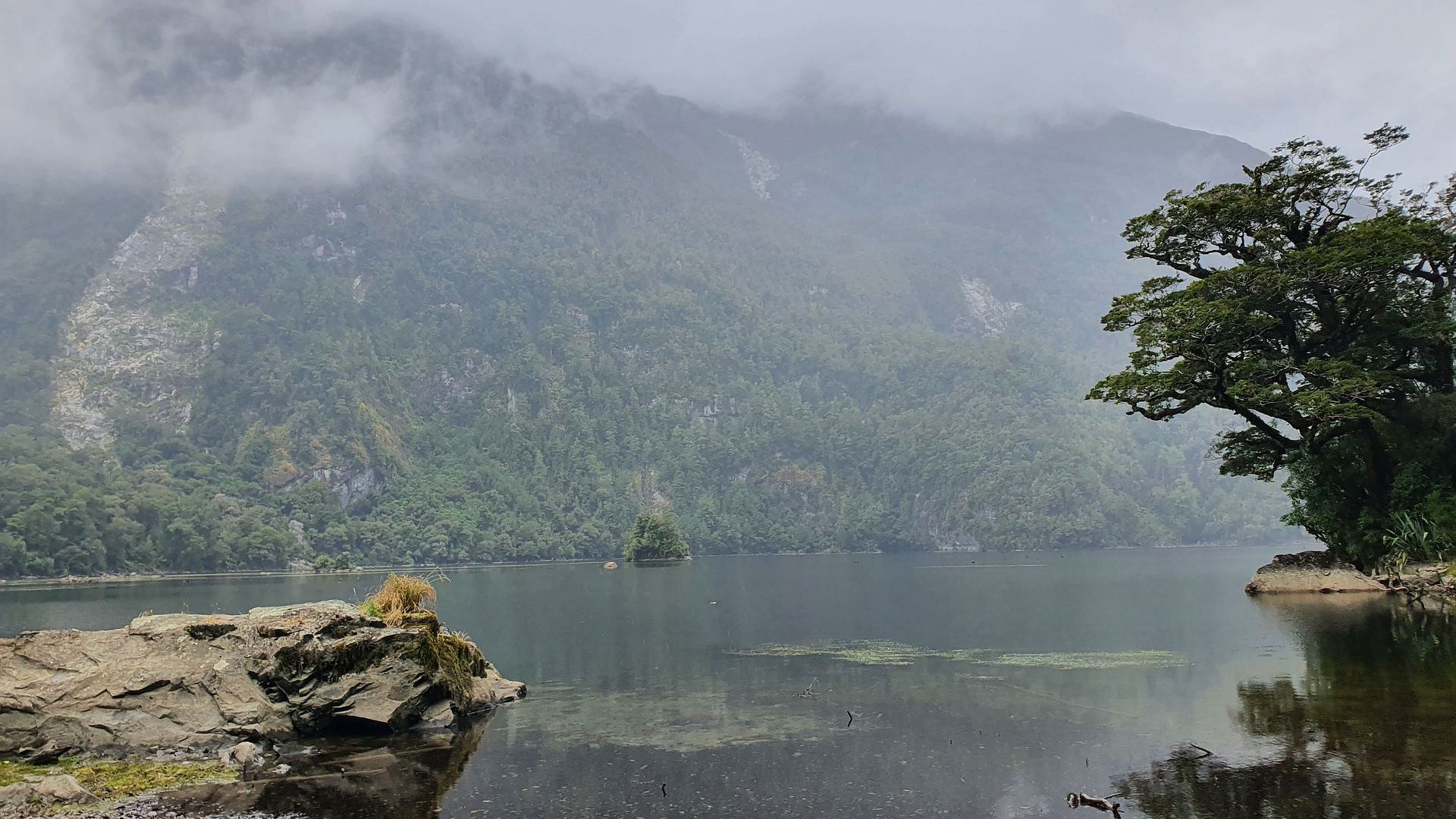 Kajak, Fluss Arthur, Abschnitt Lake Ada - Milford Sound (Standardstrecke)