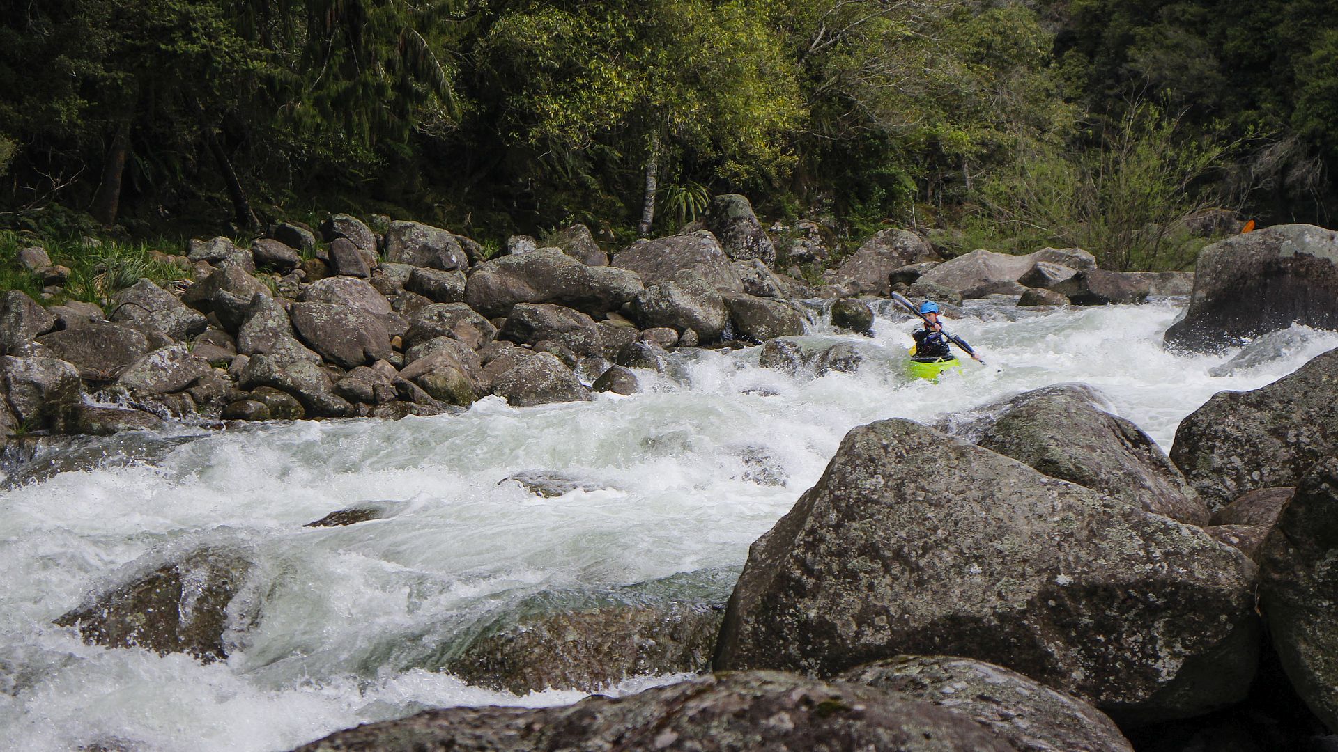 Kajak, Fluss Wairoa River, Abschnitt McLaren Falls - Ruahihi KW (Standardstrecke)