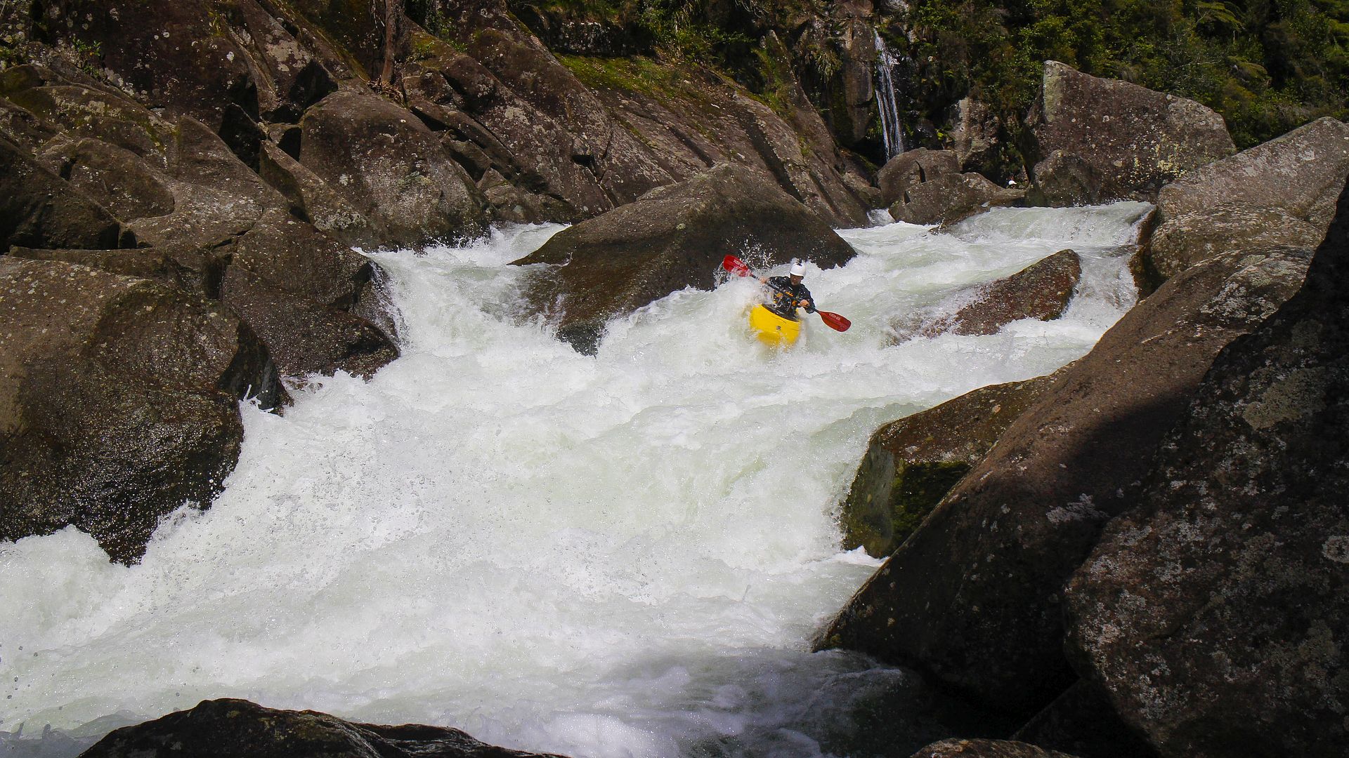 Kajak, Fluss Wairoa River, Abschnitt McLaren Falls - Ruahihi KW (Standardstrecke)