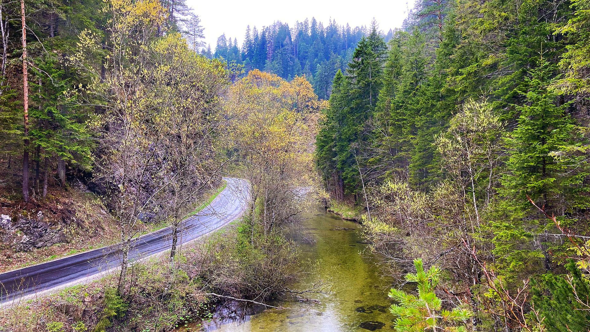 Kajak, Fluss Salza, Abschnitt Walster Mündung - Rasing (Rasing Schlucht)