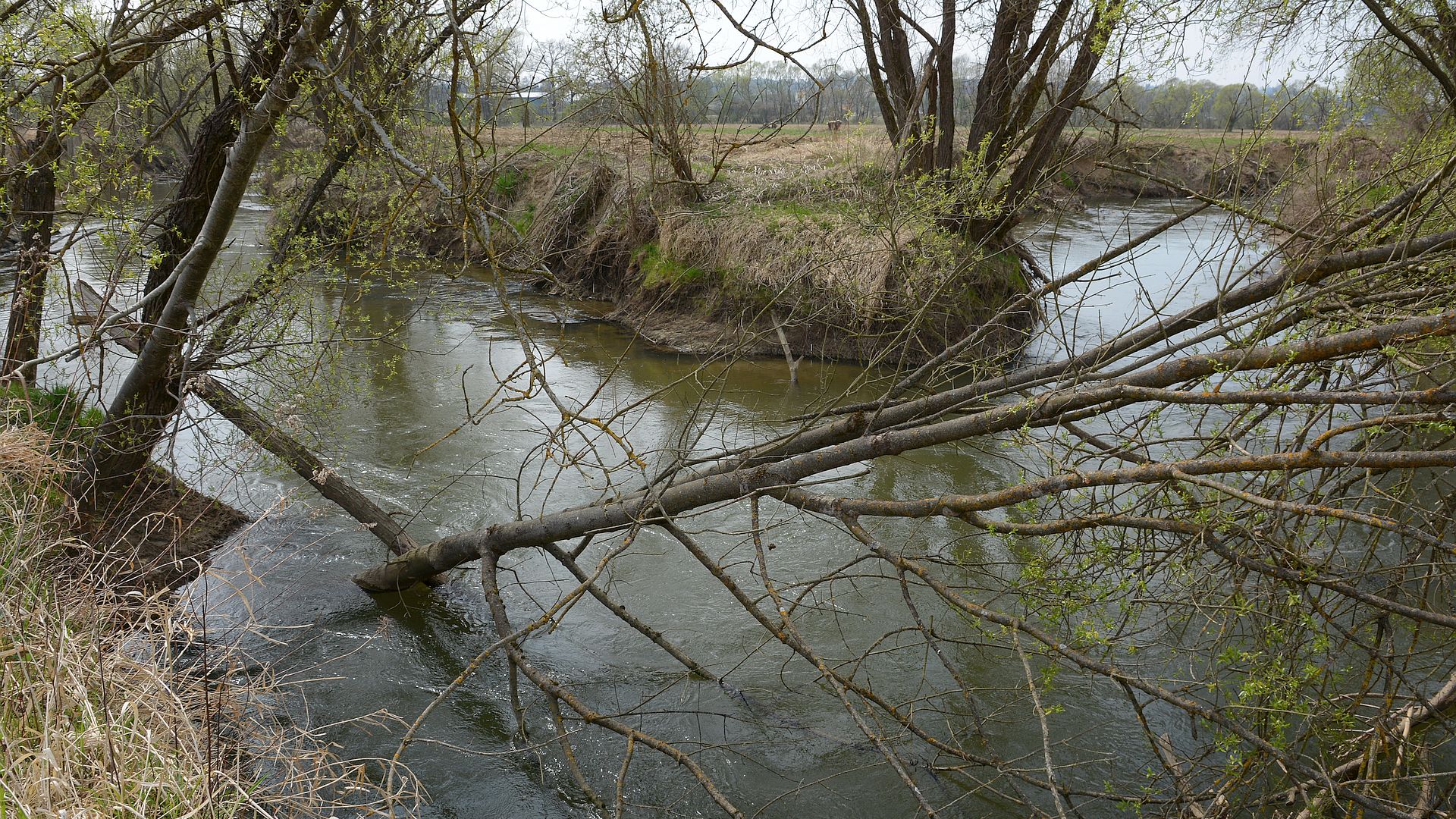 Kajak, Fluss Lafnitz, Abschnitt Burgau - Königsdorf