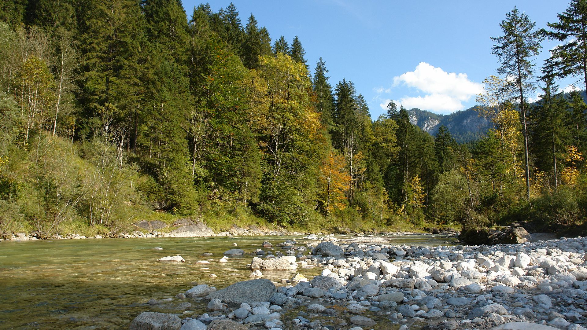 Kajak, Fluss Brandenberger Ache, Abschnitt Valepp (Oberlauf)