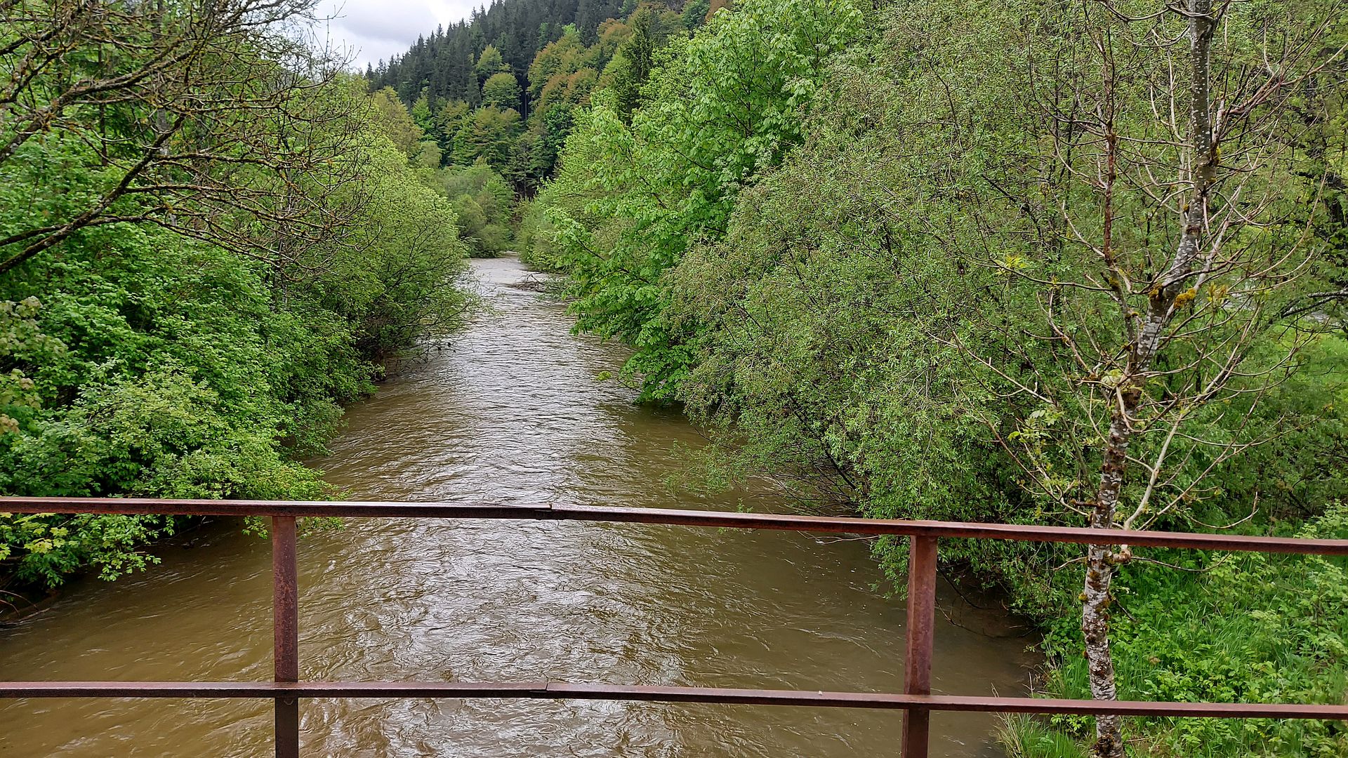 Kajak, Fluss Mürz, Abschnitt Frein - Ende S-Kurve (Totes Weib Schlucht) Einstieg bei der Brücke in Frein 