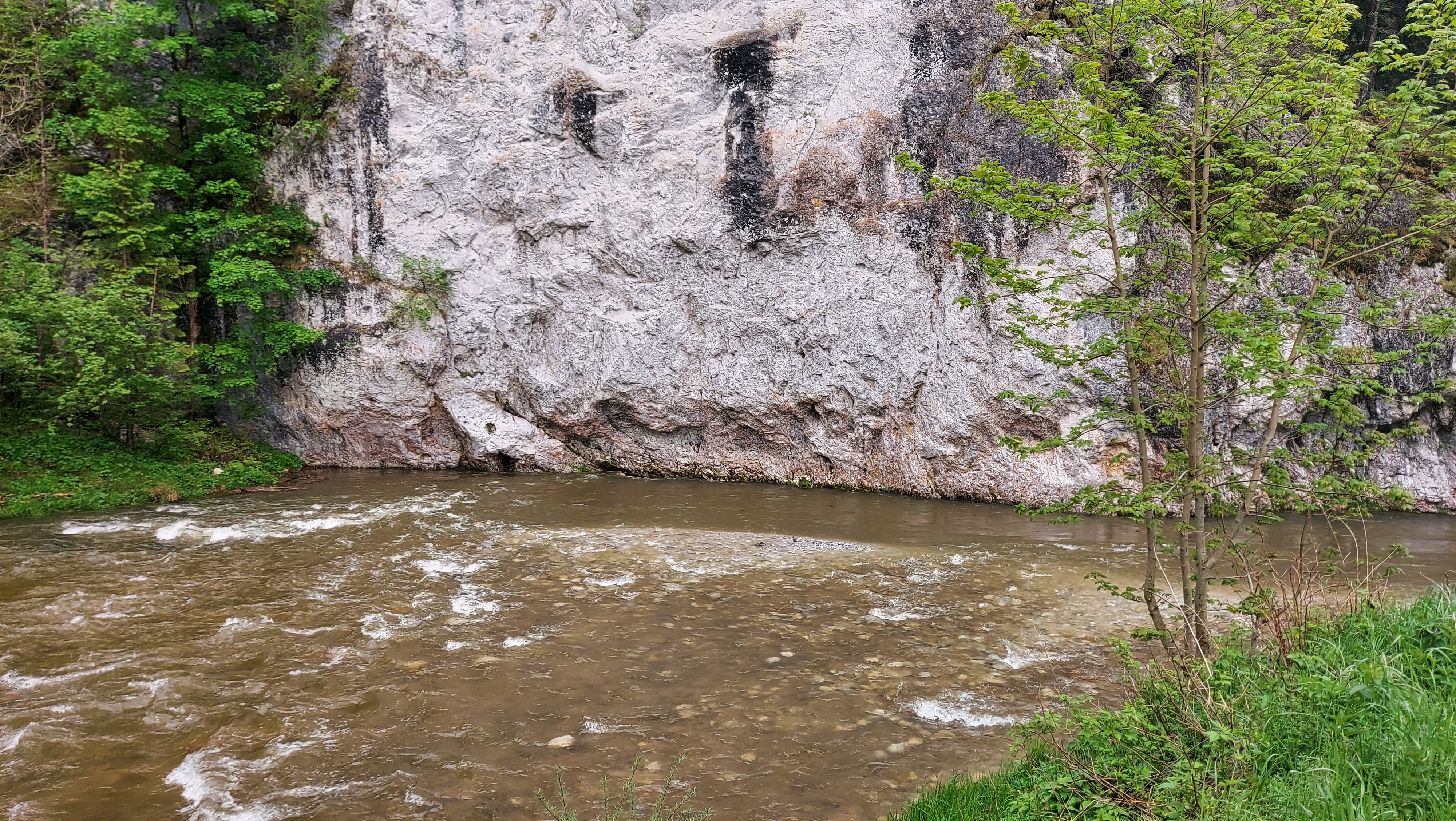 Kajak, Fluss Mürz, Abschnitt Ende S-Kurve - Mürzsteg Prallwand im unteren Teil 