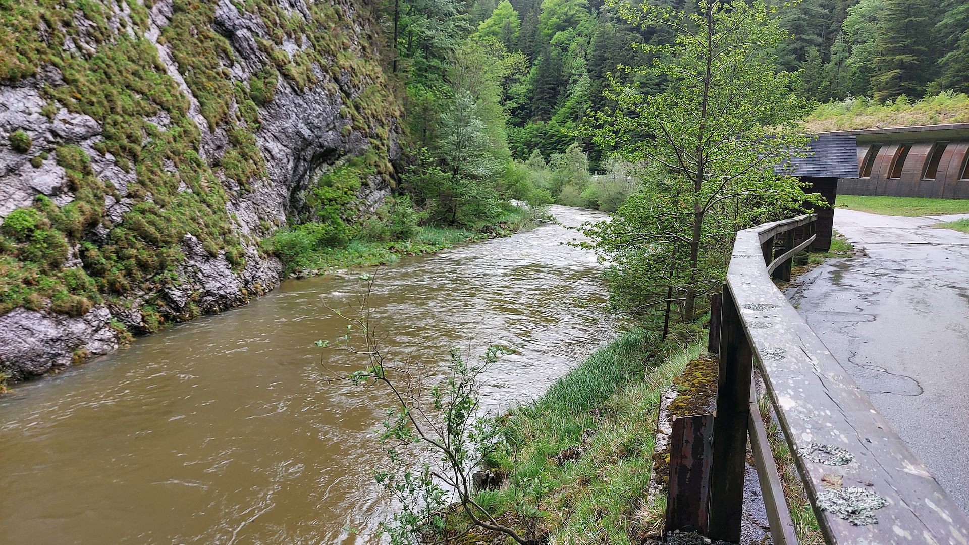 Kajak, Fluss Mürz, Abschnitt Frein - Ende S-Kurve (Totes Weib Schlucht) nach der Schlucht 