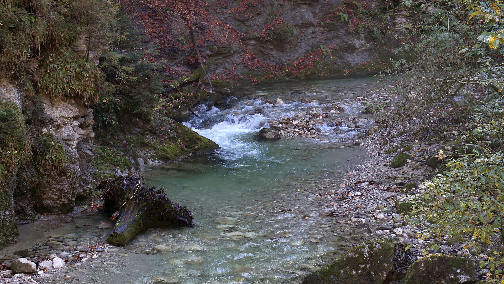 Kajak, Fluss Thierseer Ache, Abschnitt Landl - Gasthaus Wachtl