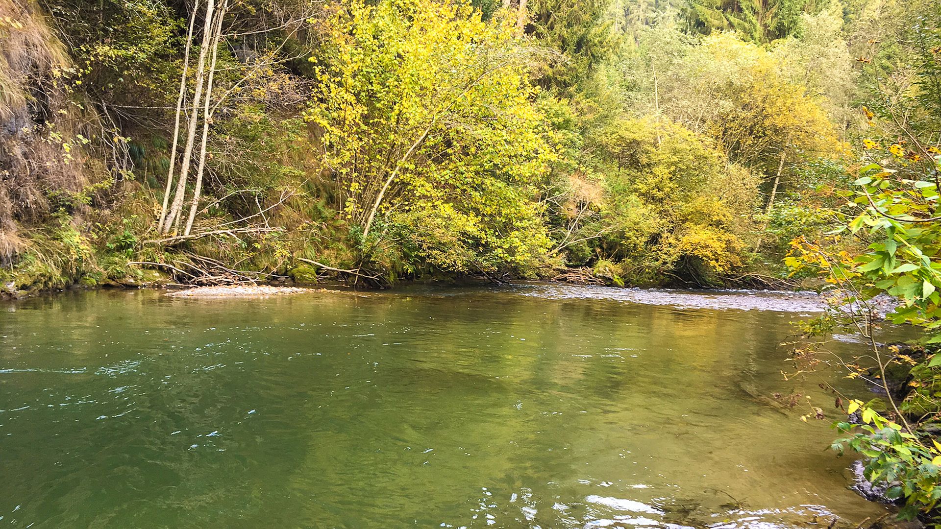 Kajak, Fluss Gurk, Abschnitt Gurk - Severgraben (Enge Gurk)