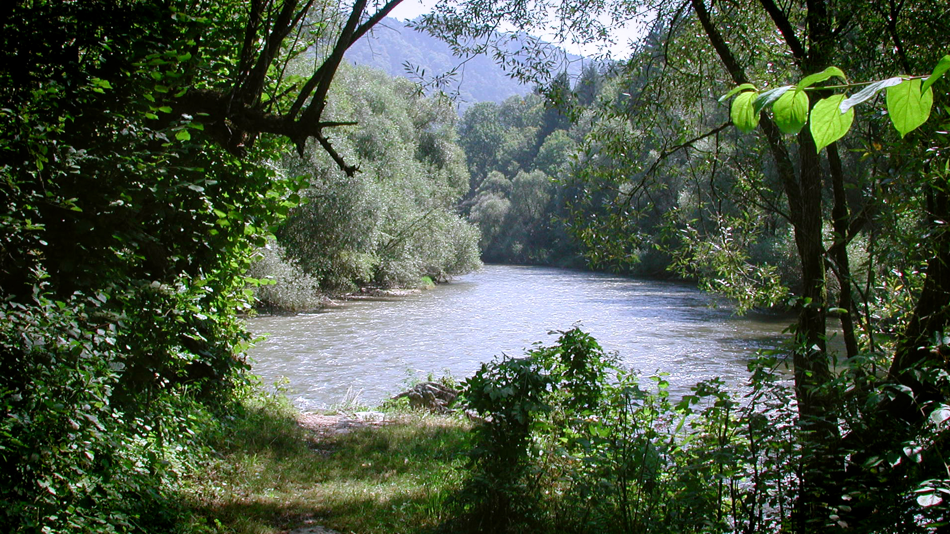 Kajak, Fluss Gurk, Abschnitt Brückl - Dullach