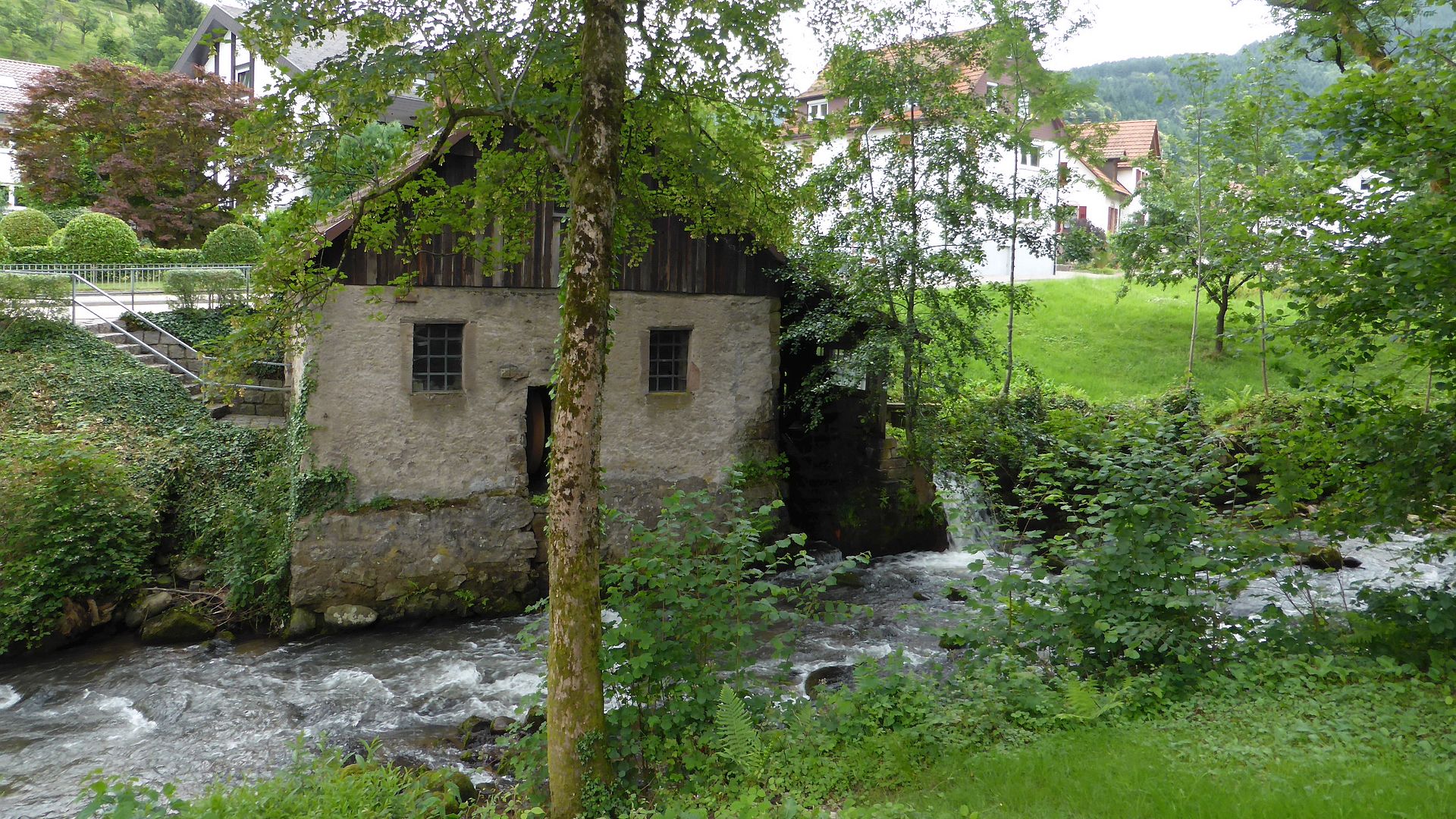 Kajak, Fluss Acher, Abschnitt Hinterseebach - Kappelrodeck