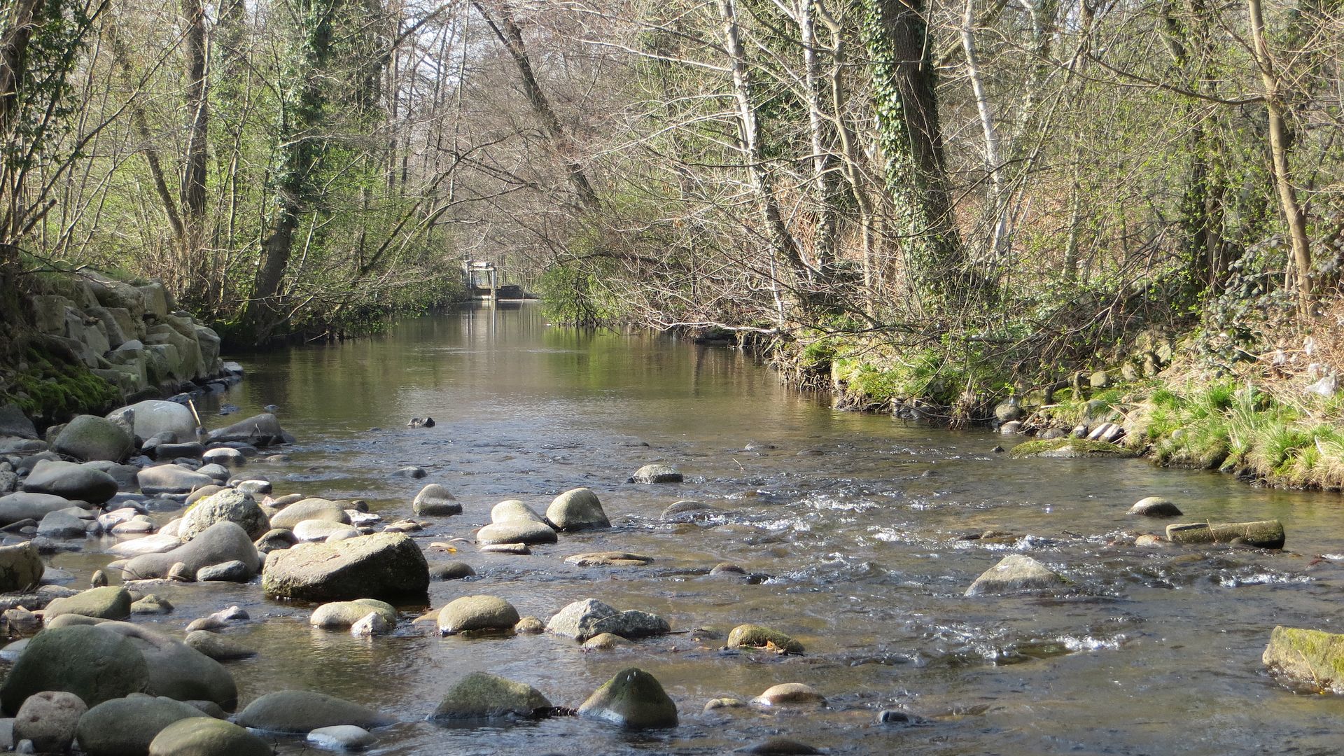 Kajak, Fluss Acher, Abschnitt Kappelrodeck - Achern
