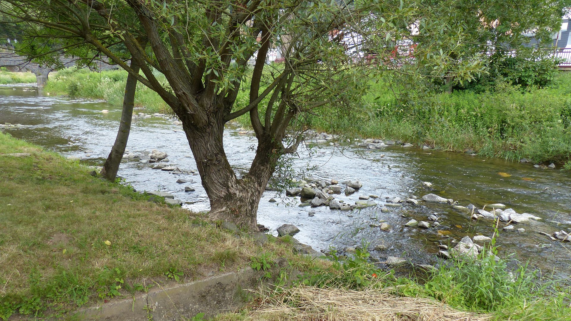 Kajak, Fluss Ahr, Abschnitt Insul - Kreuzberg
