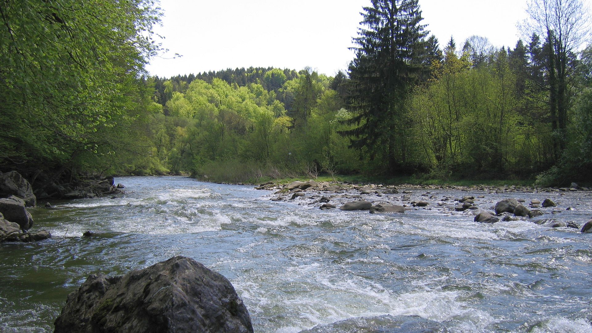 Kajak, Fluss Argen, Abschnitt Heggelbach - Gießen (nach Rennstrecke)