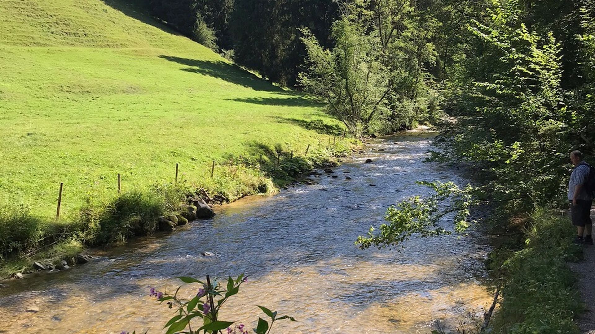 Kajak, Fluss Argen, Abschnitt Argentobelbrücke - Zwirkenberg (nach Eistobel)