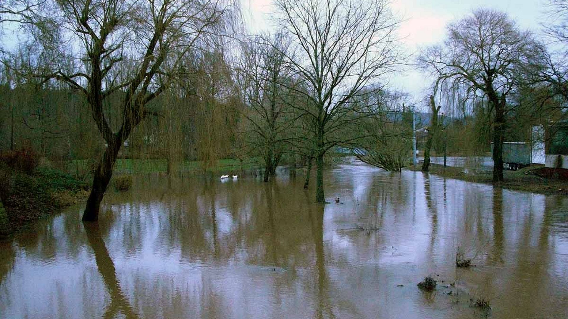 Kajak, Fluss Blies, Abschnitt Ottweiler - Wellesweiler (Obere Blies)