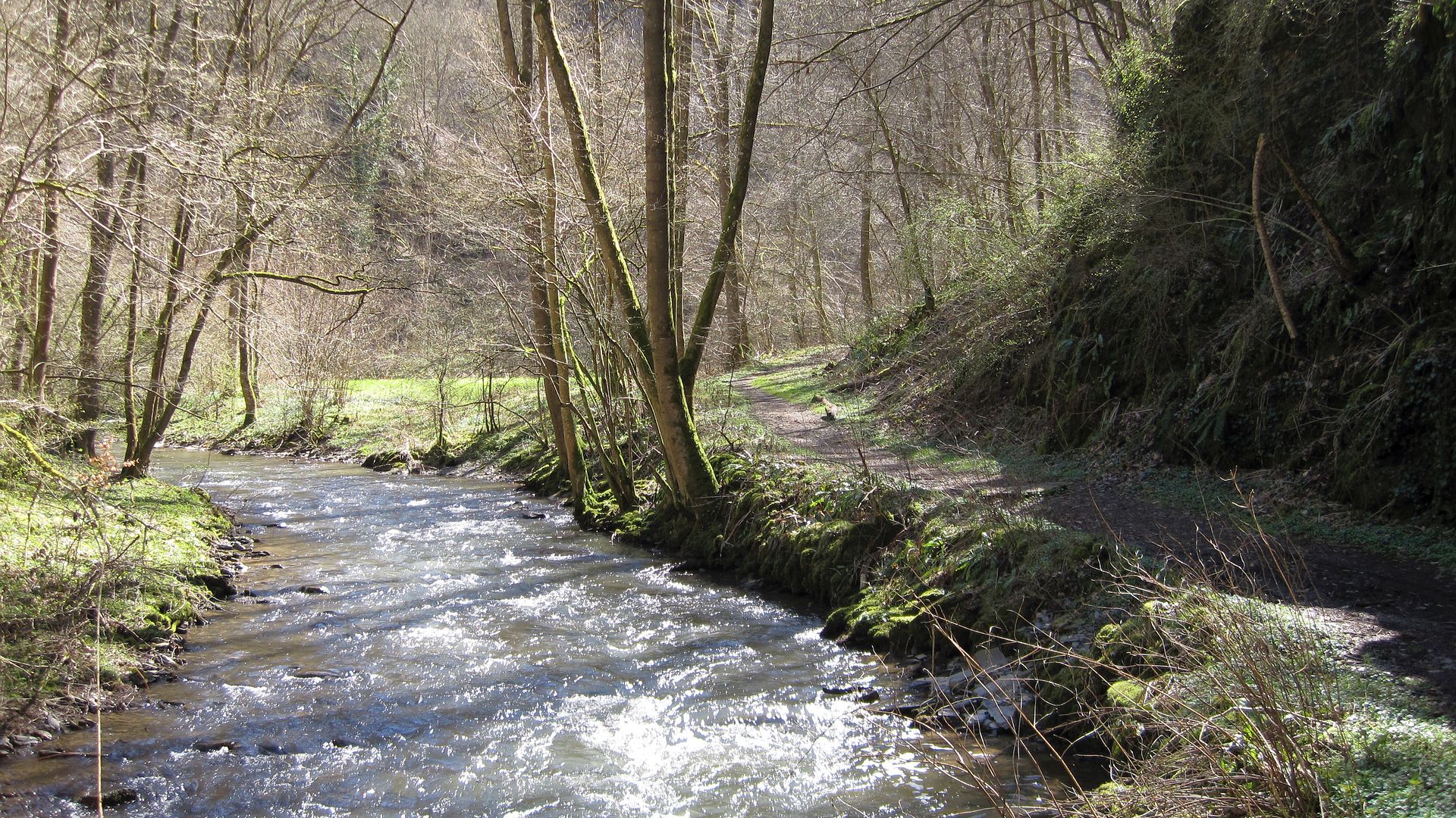 Kajak, Fluss Dörsbach, Abschnitt Klingelbacher Mühle - Obermühle (Oberlauf)