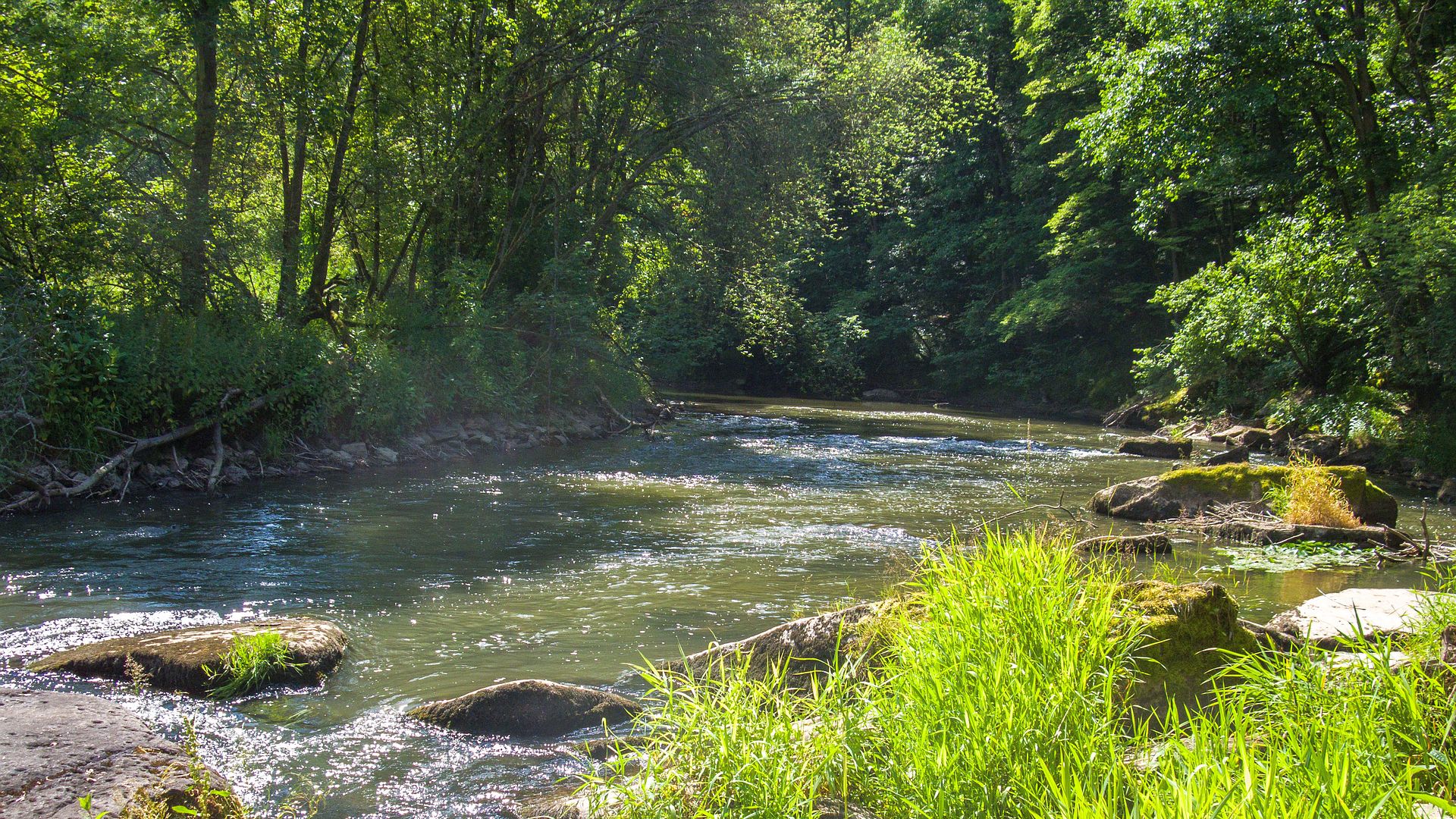 Kajak, Fluss Fränkische Saale, Abschnitt Bad Kissingen - Hammelburg