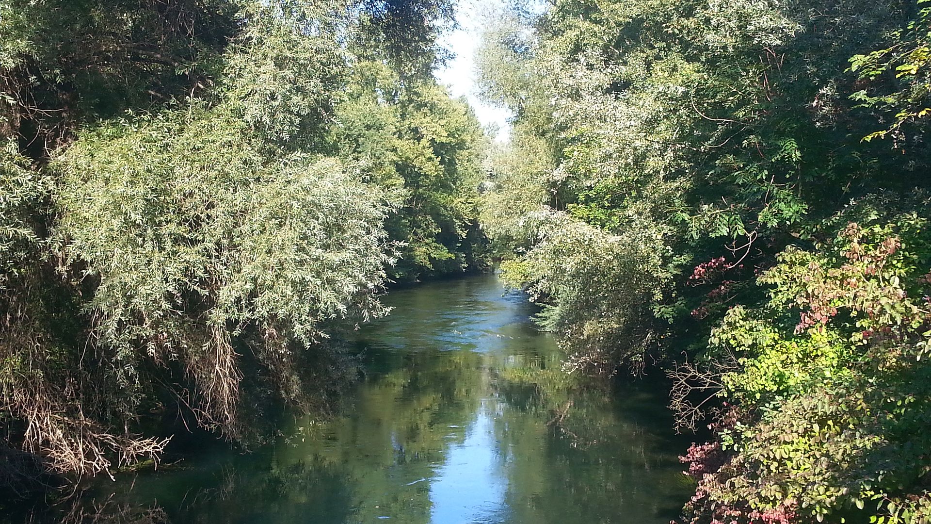 Kajak, Fluss Groschenwasser, Abschnitt Auenheimer See - DJK Sasbach