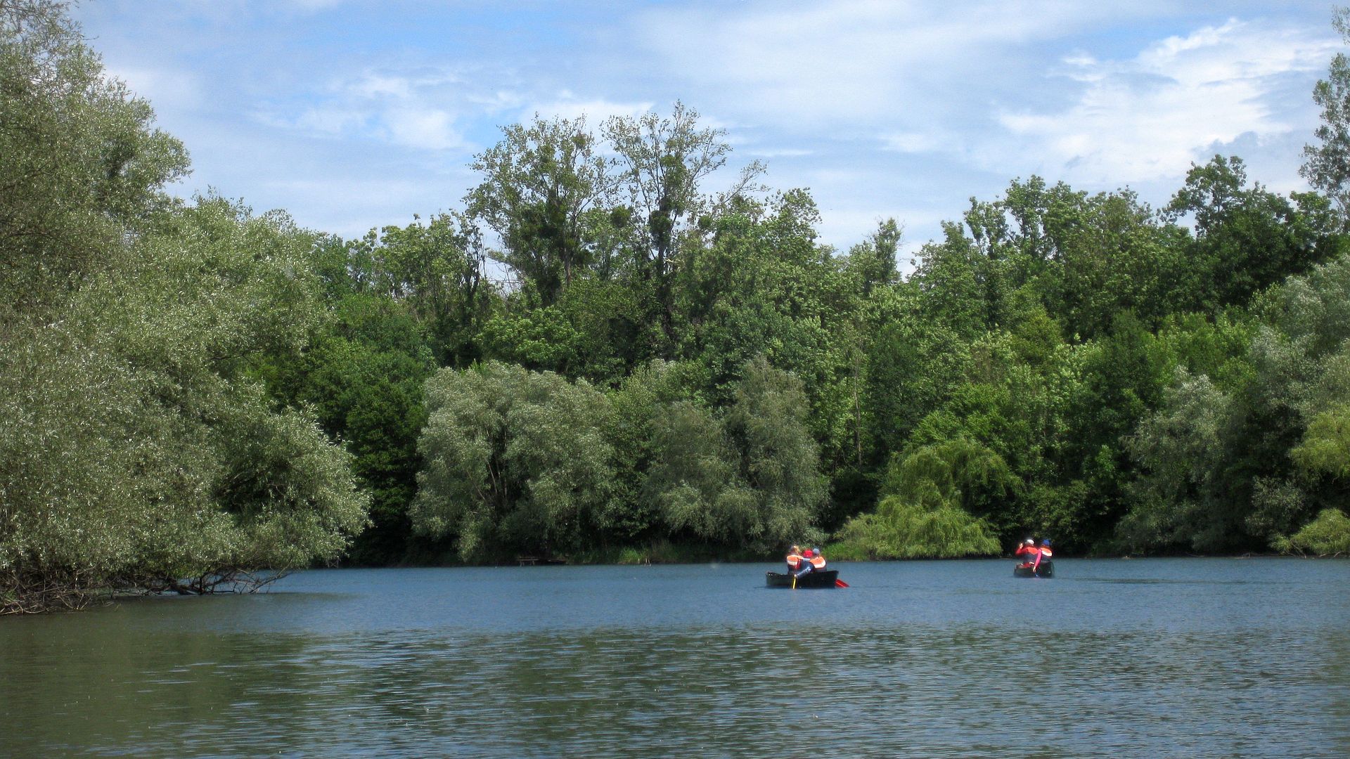 Kajak, Fluss Groschenwasser, Abschnitt Auenheimer See - DJK Sasbach