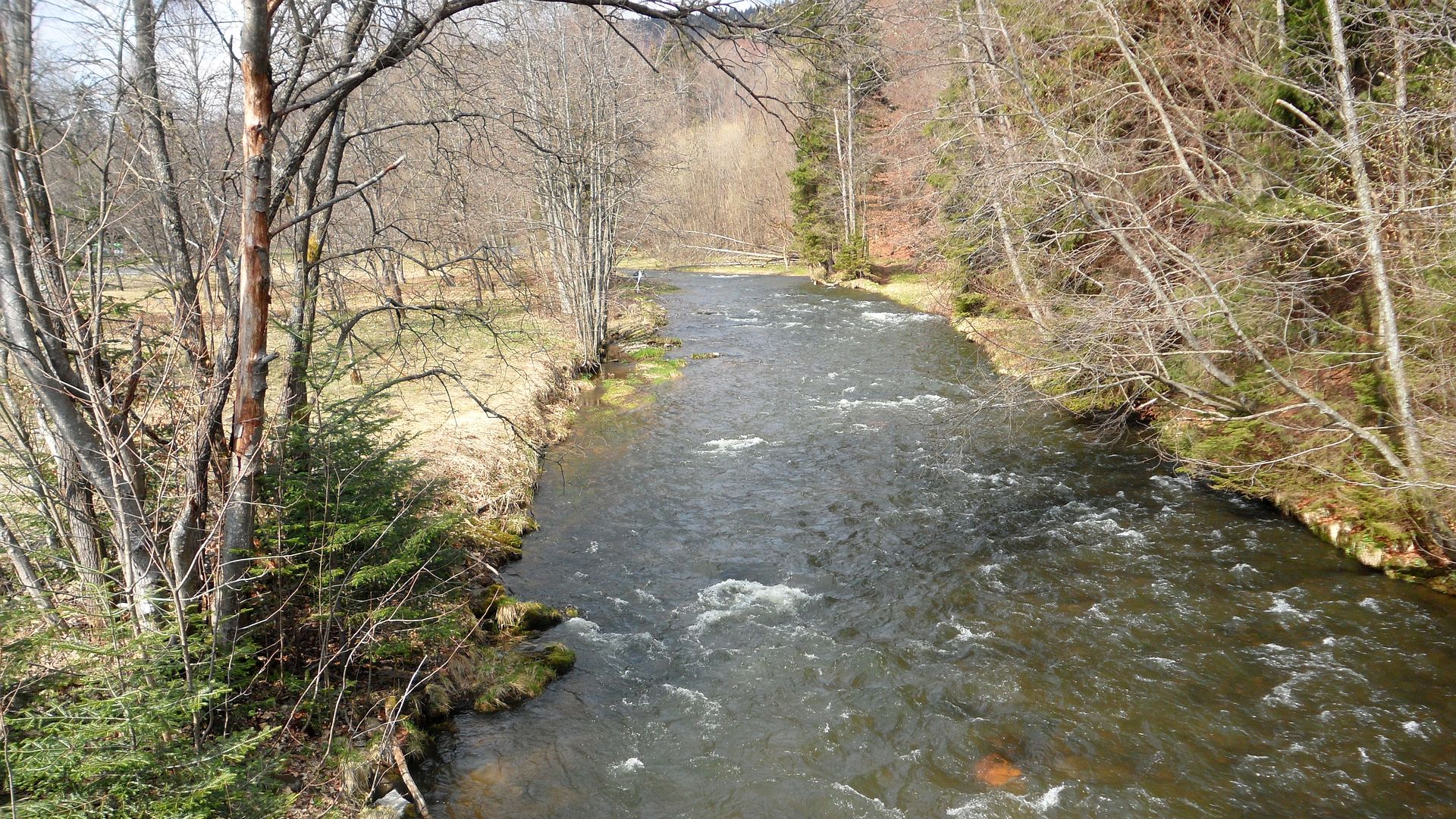 Kajak, Fluss Großer Regen, Abschnitt Bayerisch Eisenstein - Zwiesel