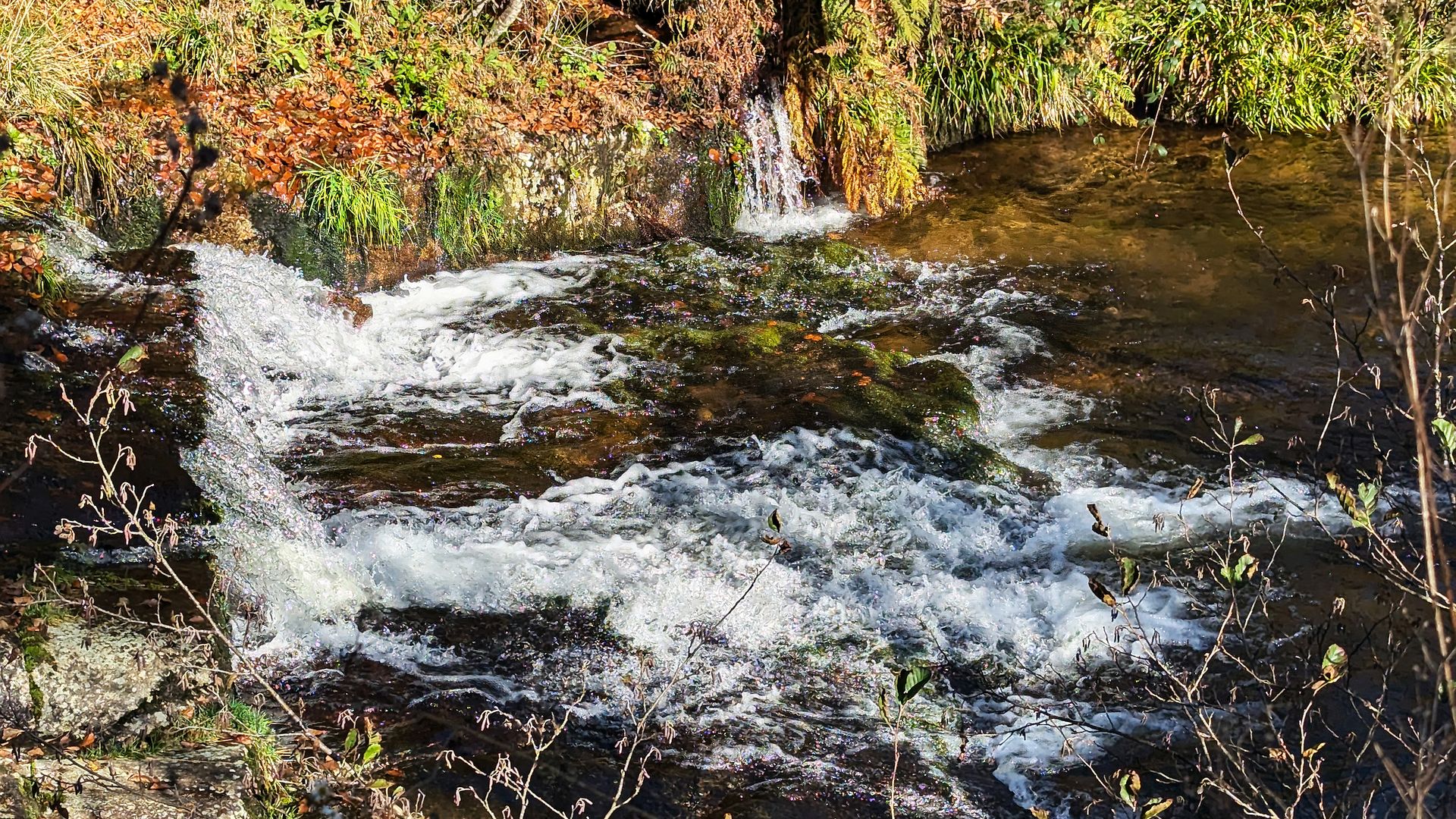 Kajak, Fluss Hundsbach, Abschnitt Erbersbronn - Murg (Unterlauf)