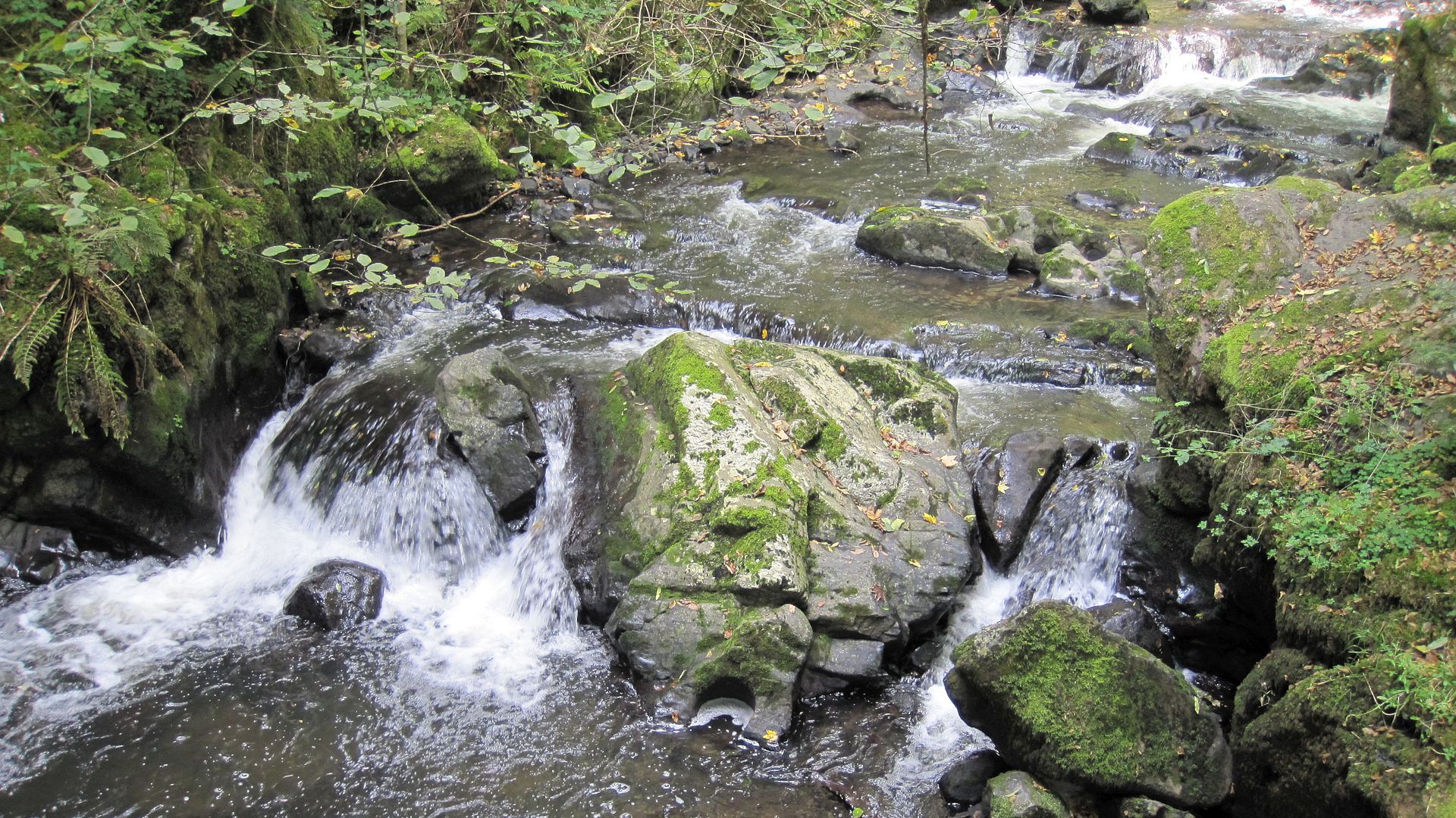Kajak, Fluss Kleine Kyll, Abschnitt Schutz - Brücke L46