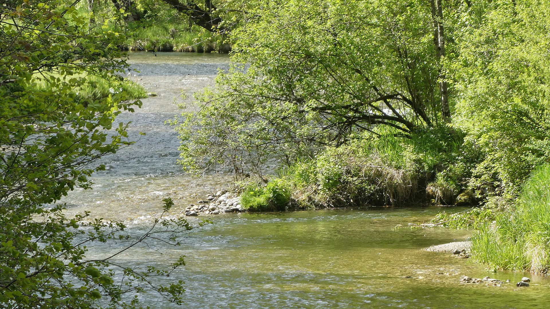 Kajak, Fluss Leitzach, Abschnitt Osterhofen - Wörnsmühl