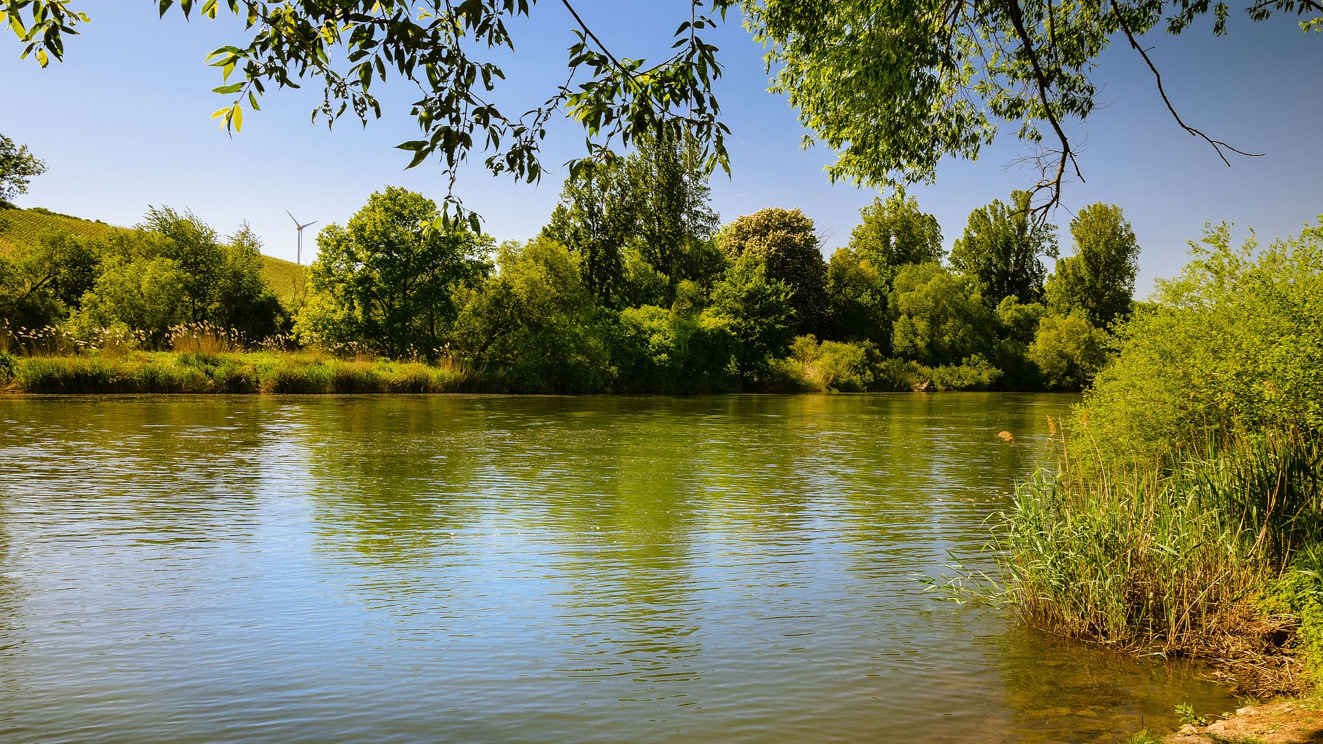 Kajak, Fluss Main, Abschnitt Astheim - Sommerach (Volkacher Mainschleife)