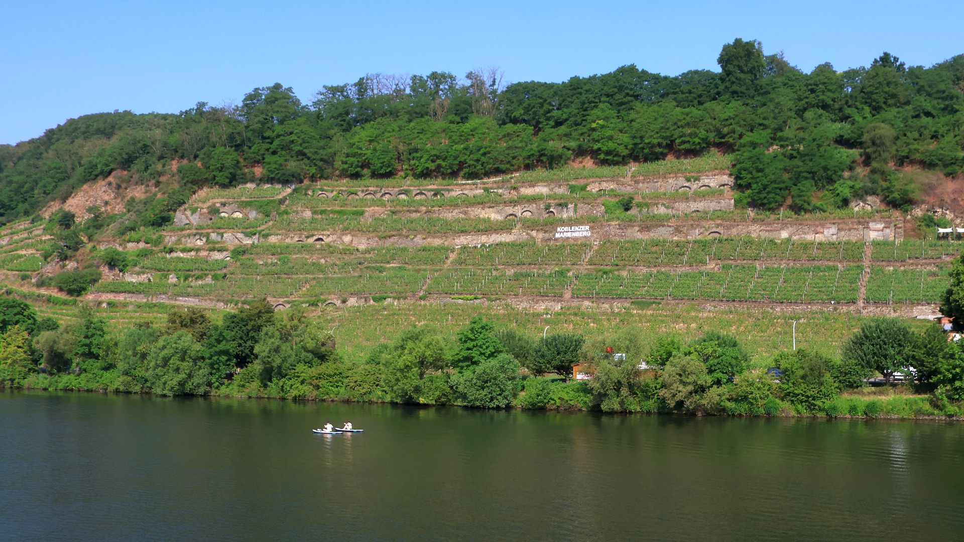 Kajak, Fluss Mosel, Abschnitt Trier - Koblenz