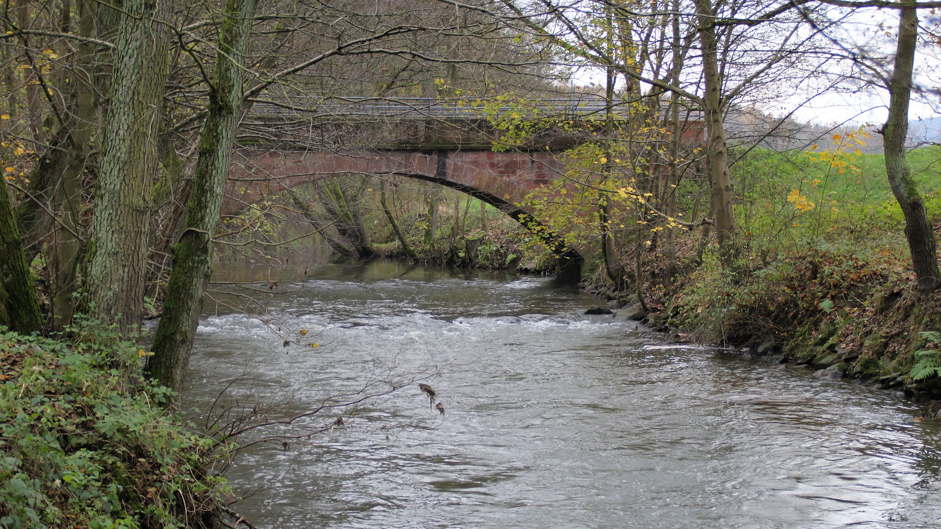 Kajak, Fluss Mümling, Abschnitt Rai-Breitenbach - Mündung in Main (Untere Mümling)