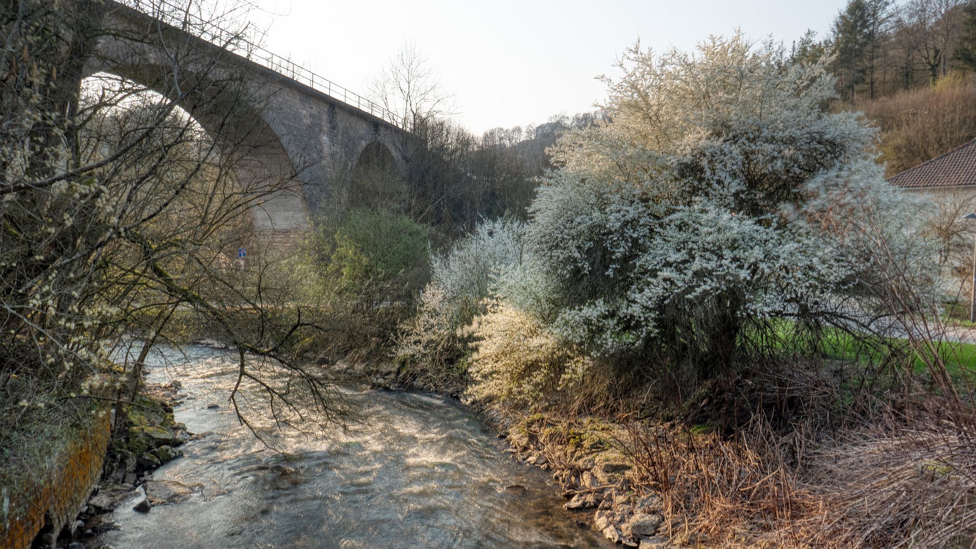 Kajak, Fluss Nims, Abschnitt Rittersdorf - Mündung (Unterlauf)