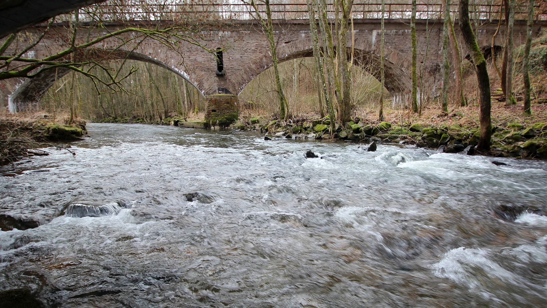 Kajak, Fluss Nister, Abschnitt Großseifen - Marienstatt (Oberlauf)