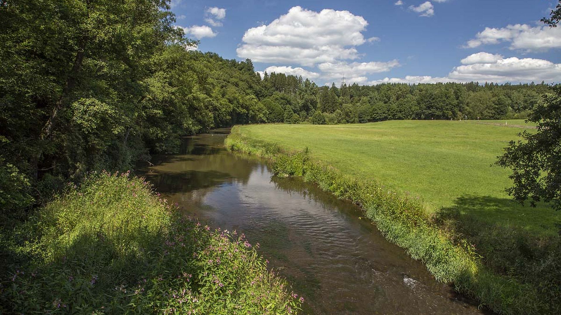 Kajak, Fluss Nister, Abschnitt Stein Wingert - Mündung (Unterlauf)