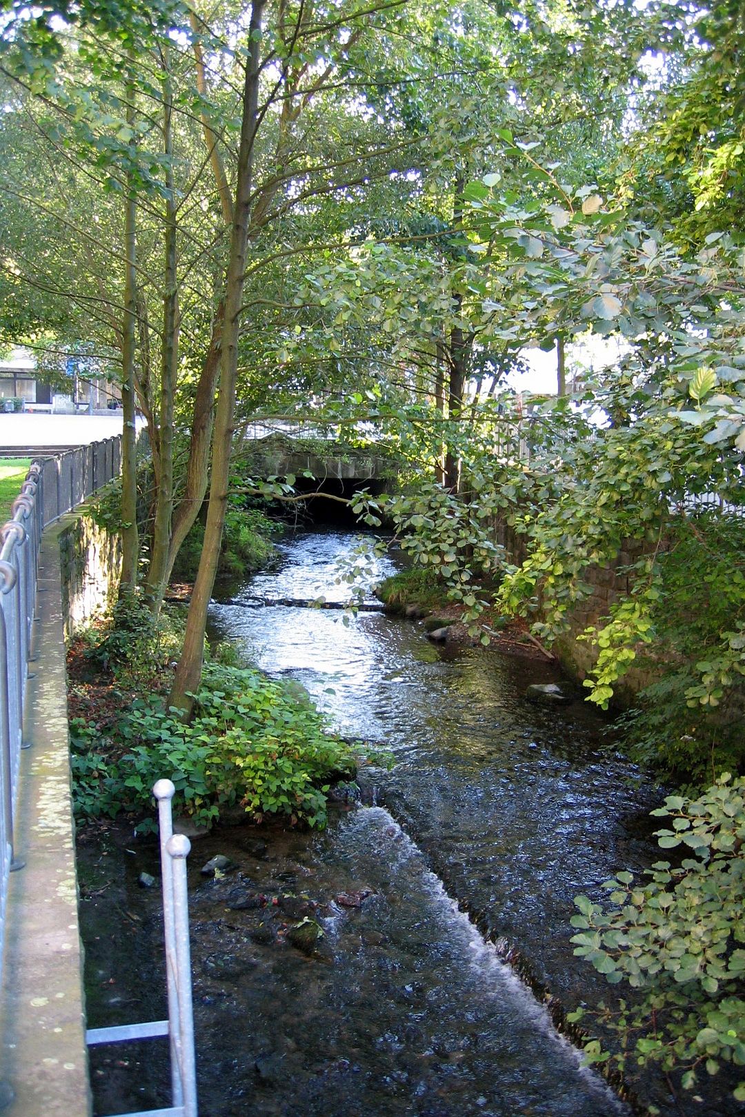 Kajak, Fluss Öse, Abschnitt Becke - Menden