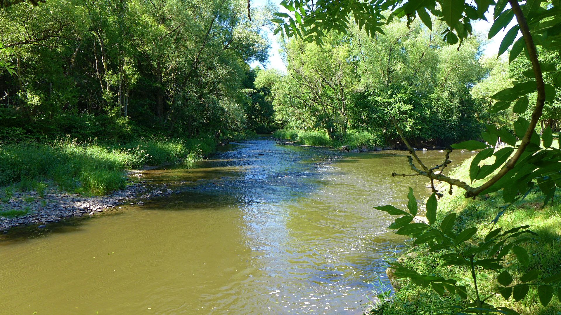 Kajak, Fluss Prims, Abschnitt Büschfeld - Köprich