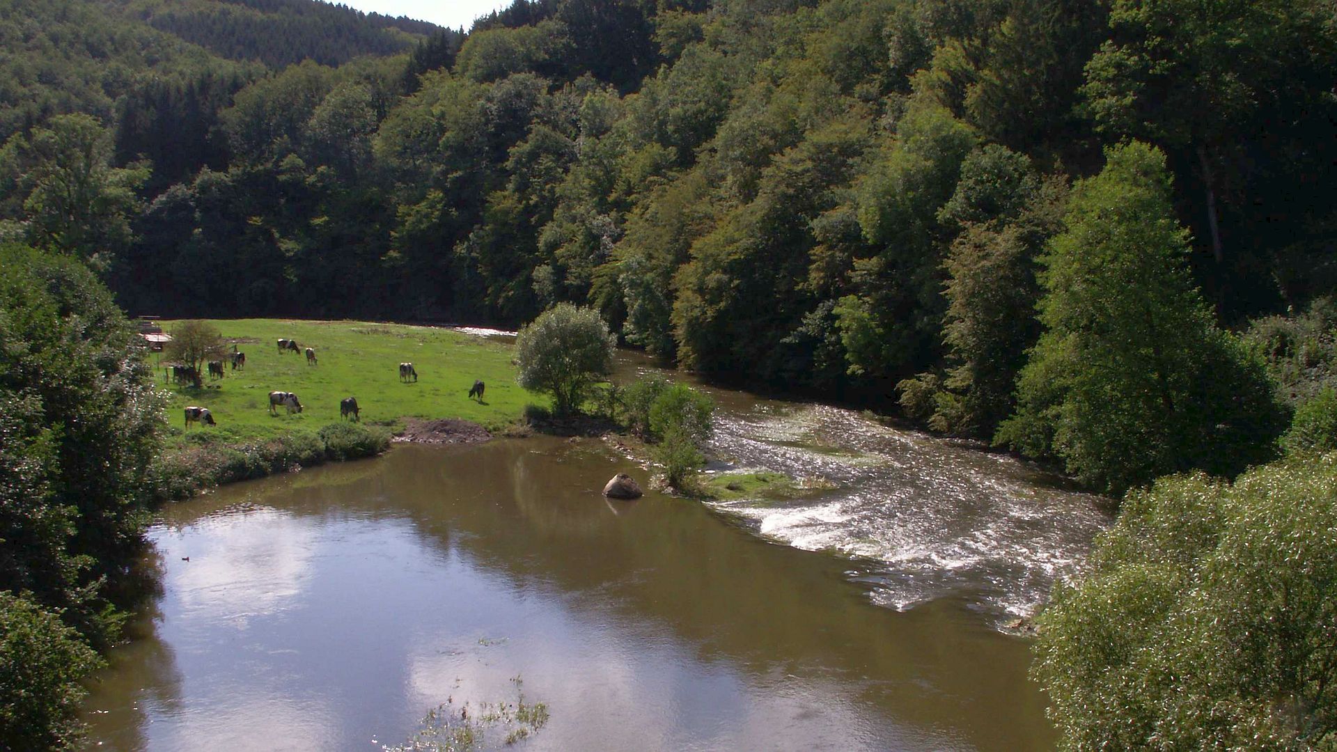 Kajak, Fluss Prüm, Abschnitt Pronsfeld - Stausee Bitburg (Mittellauf)
