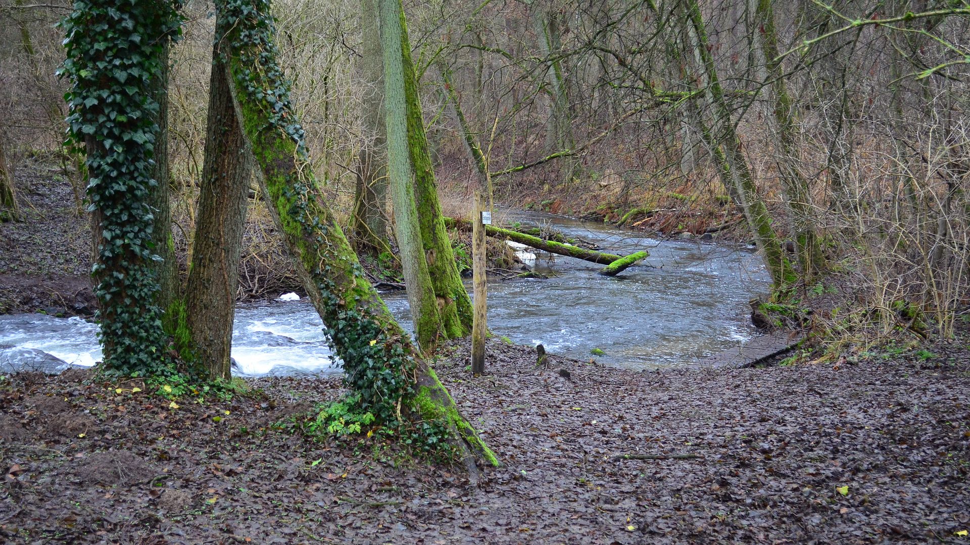 Kajak, Fluss Rhin, Abschnitt Rheinsberg - Zippelsförde (Oberer Rhin)