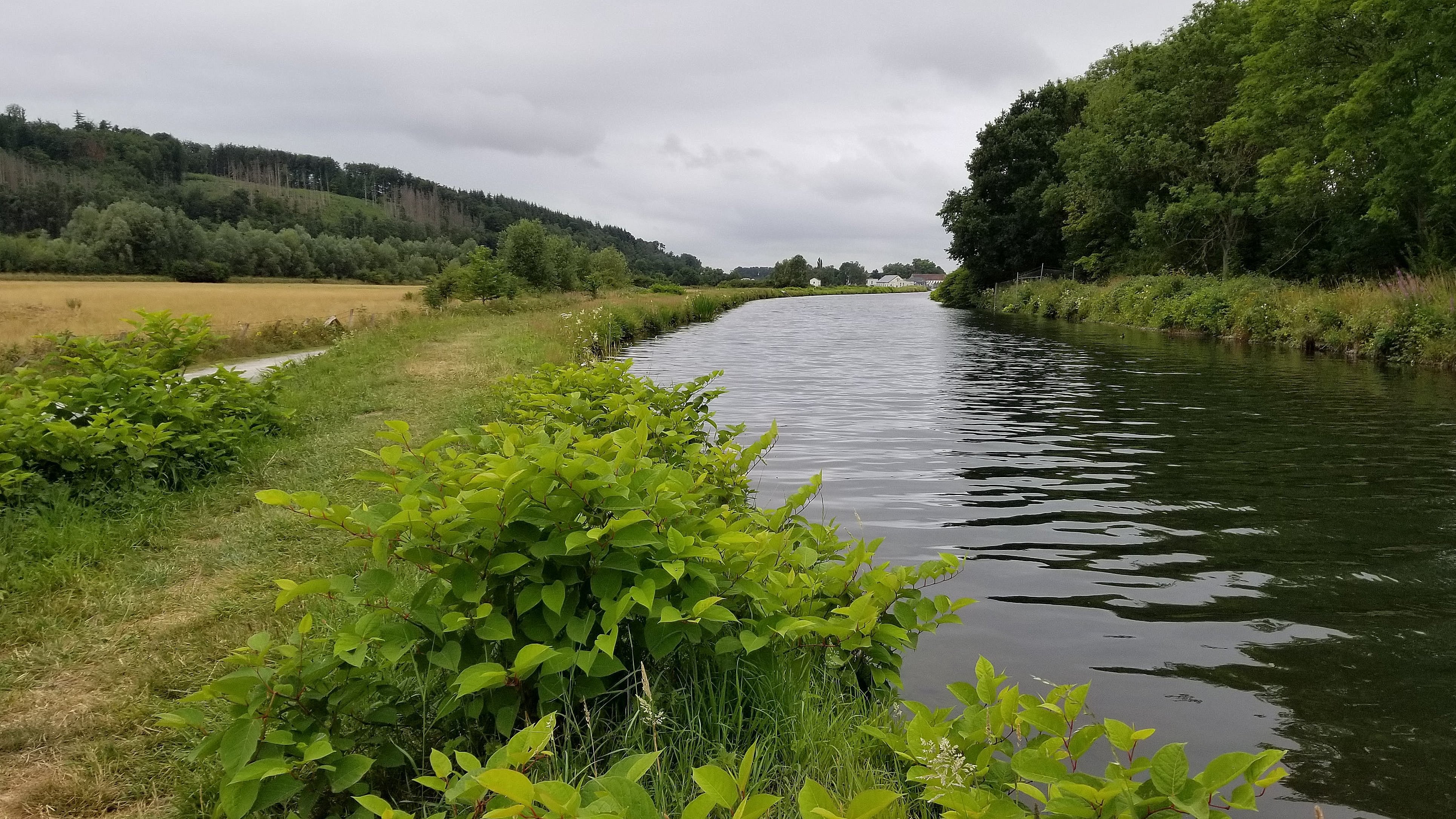 Kajak, Fluss Ruhr, Abschnitt Bruchhausen - Wickede