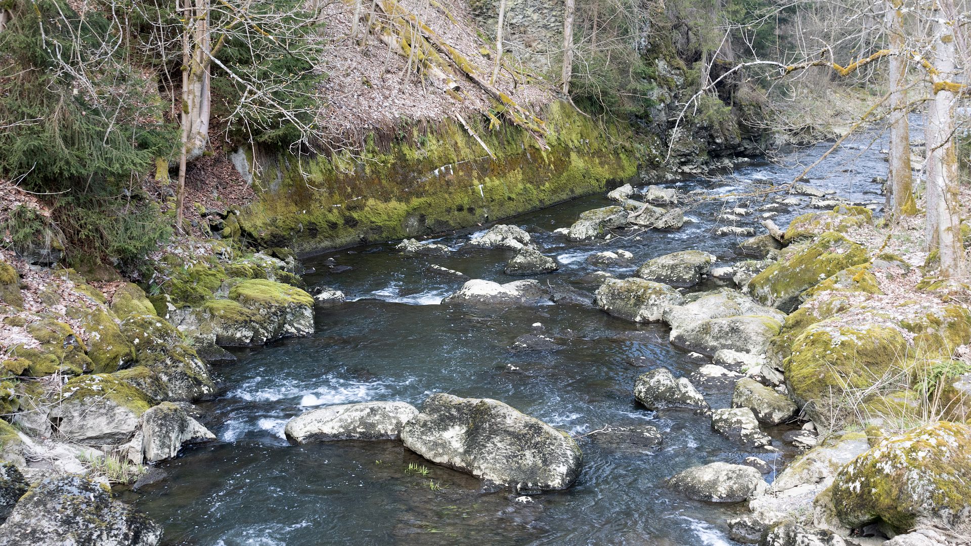 Kajak, Fluss Selbitz, Abschnitt Hölle - Blechschmidtenhammer (Höllental)