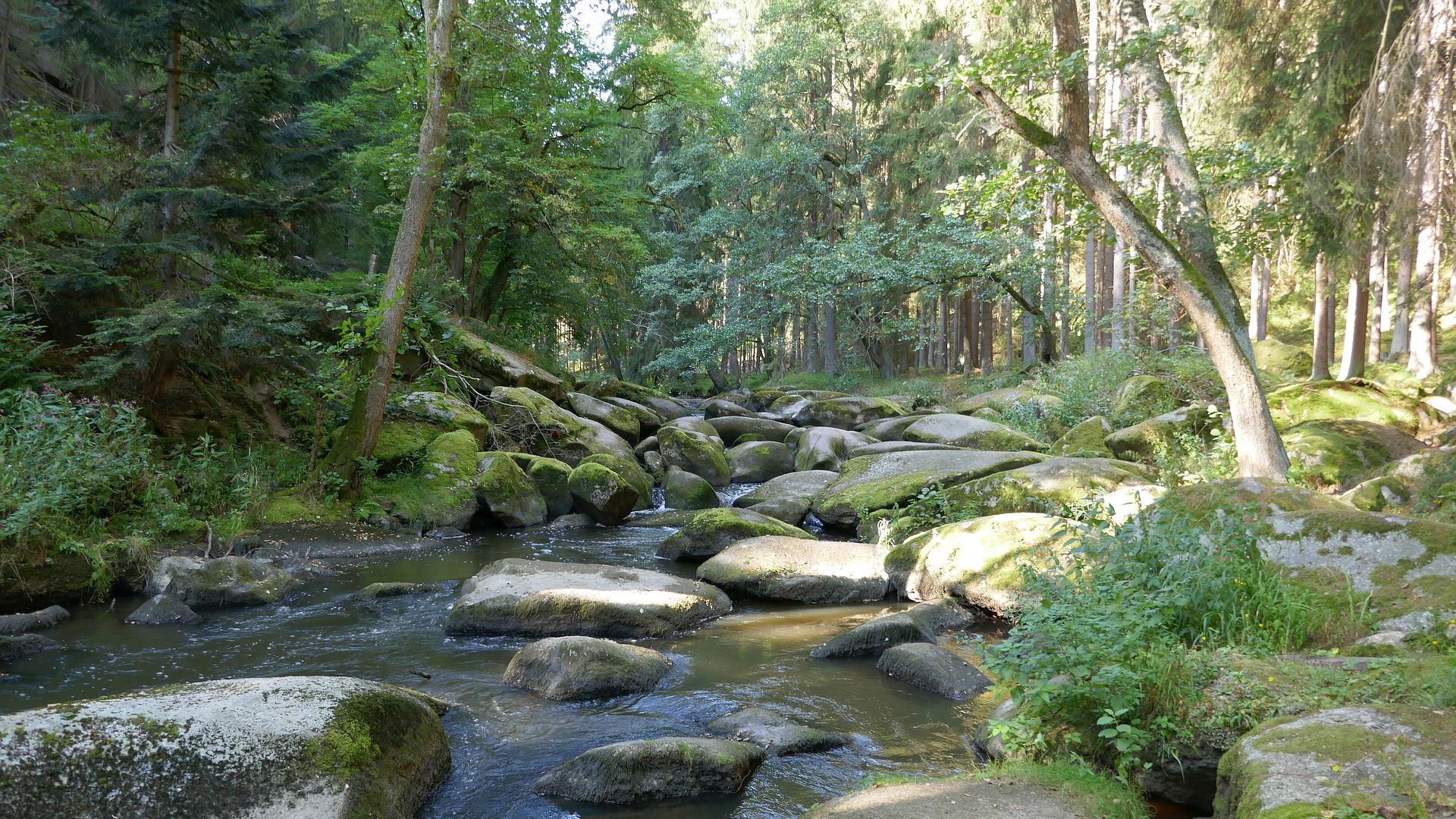 Kajak, Fluss Waldnaab, Abschnitt Falkenberg - Windischeschenbach (Waldschlucht)