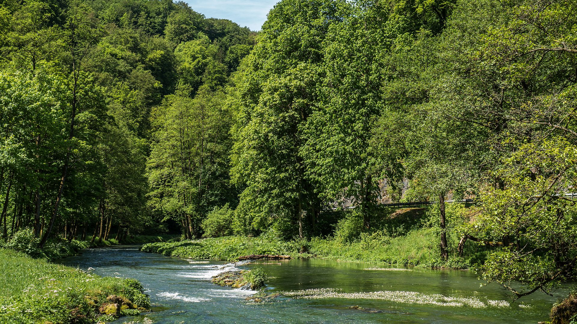 Kajak, Fluss Wiesent, Abschnitt Doos - Streitberg