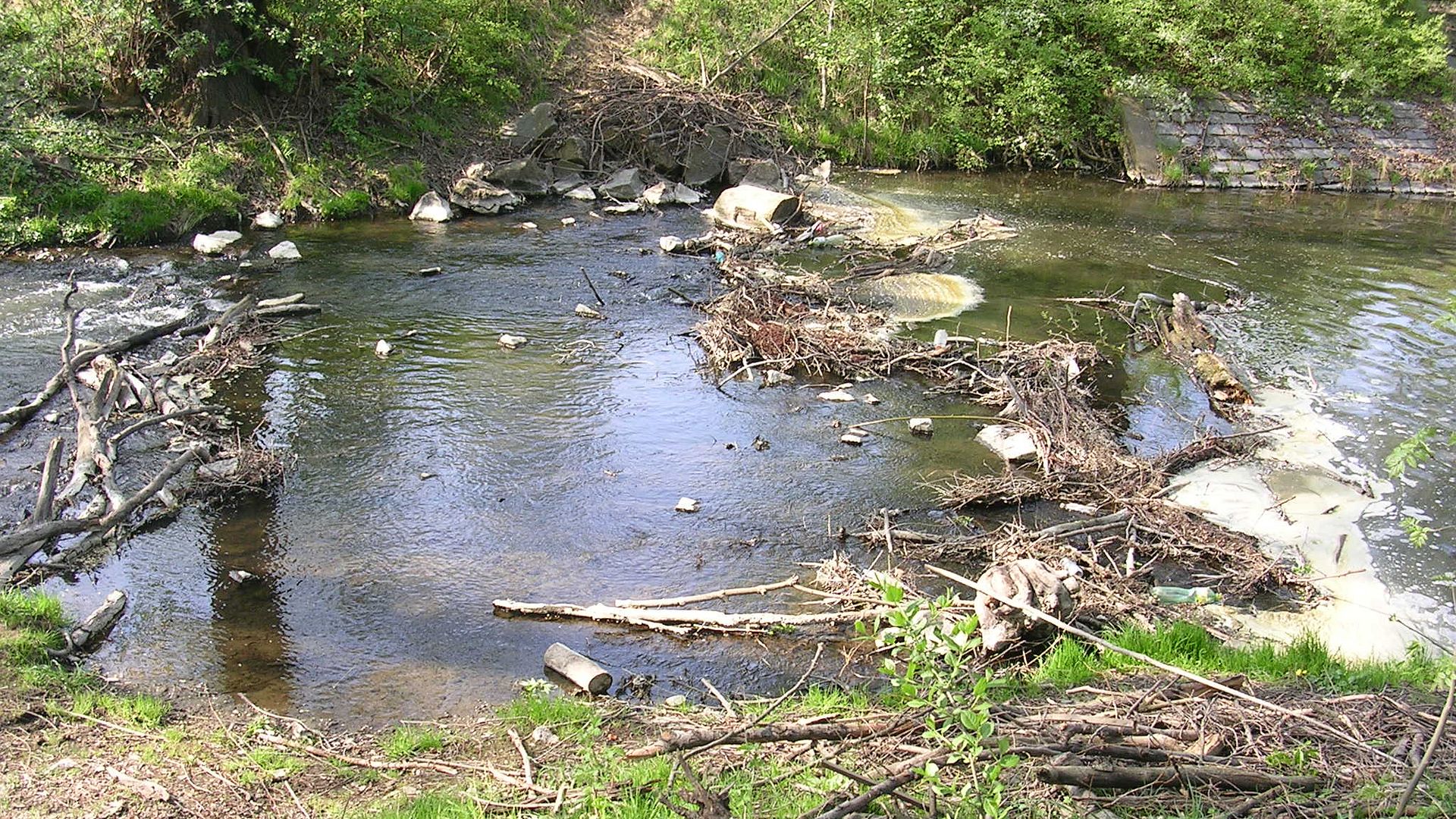 Kajak, Fluss Botič, Abschnitt Hostivař - Vyšehrad