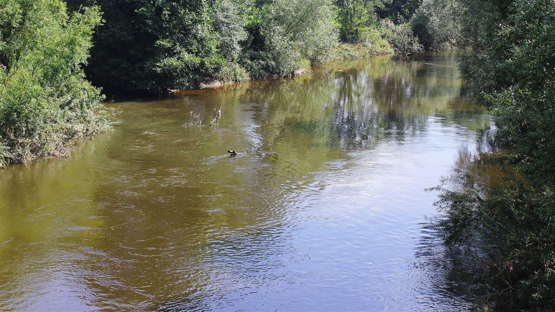 Kajak, Fluss Mohelka, Abschnitt Sychrov - Mohelnice