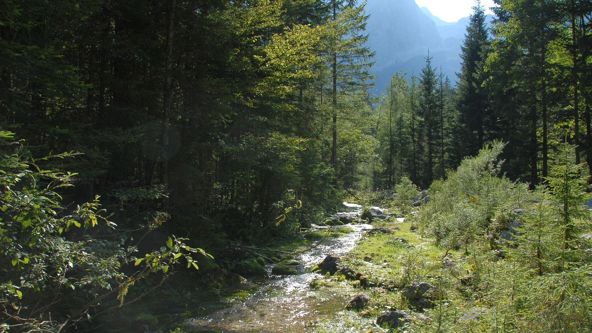 Kajak, Fluss Bistrica Vrata, Abschnitt Slap Pericnik - Mojstrana