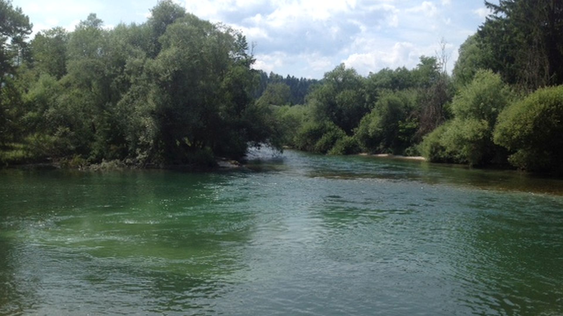 Kajak, Fluss Sava Dolinka, Abschnitt Zasip - Radovljica