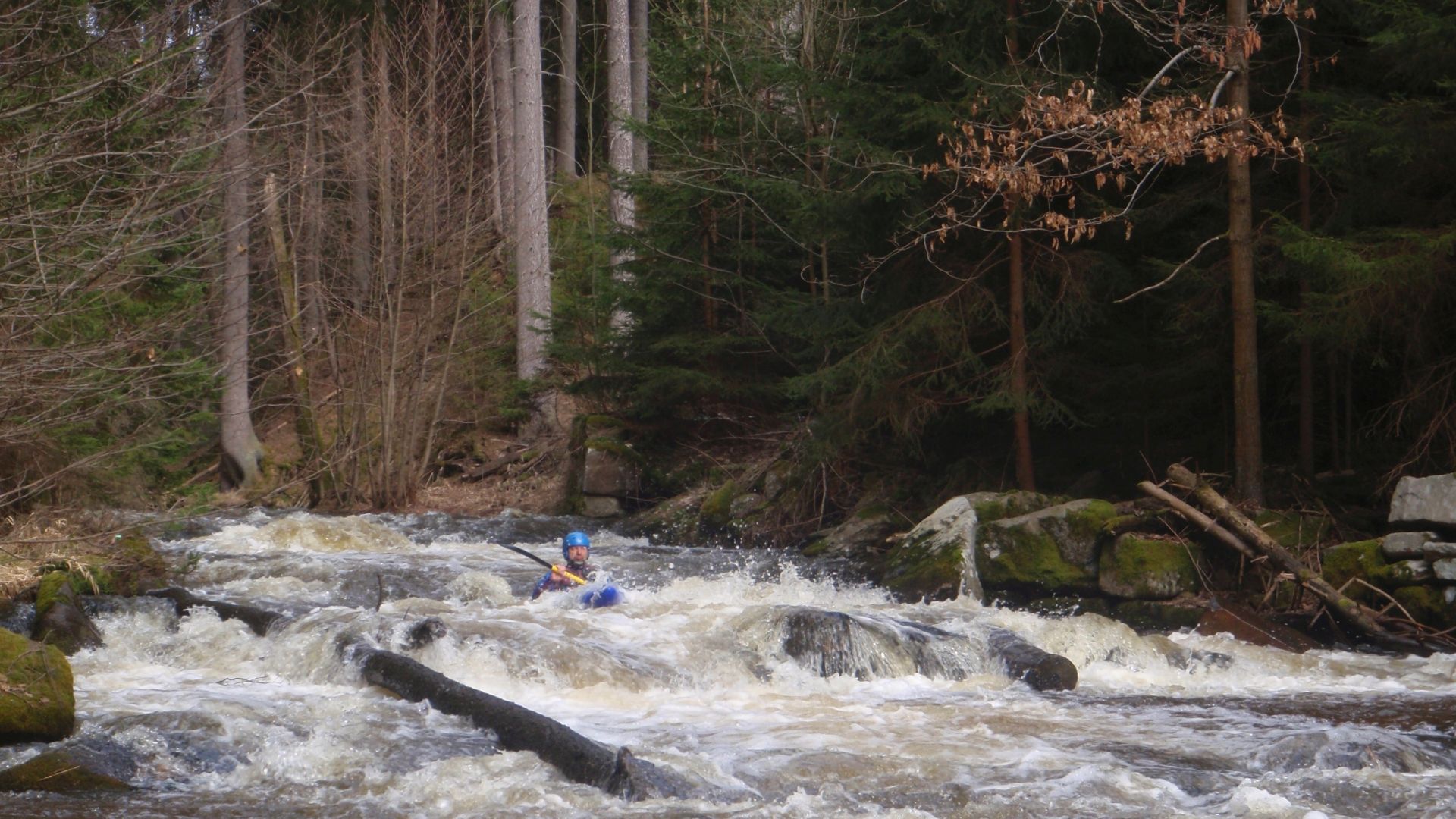Kajak, Fluss Reißbach (Dračice), Abschnitt Litschau - Františkov ganz schön verblockt 