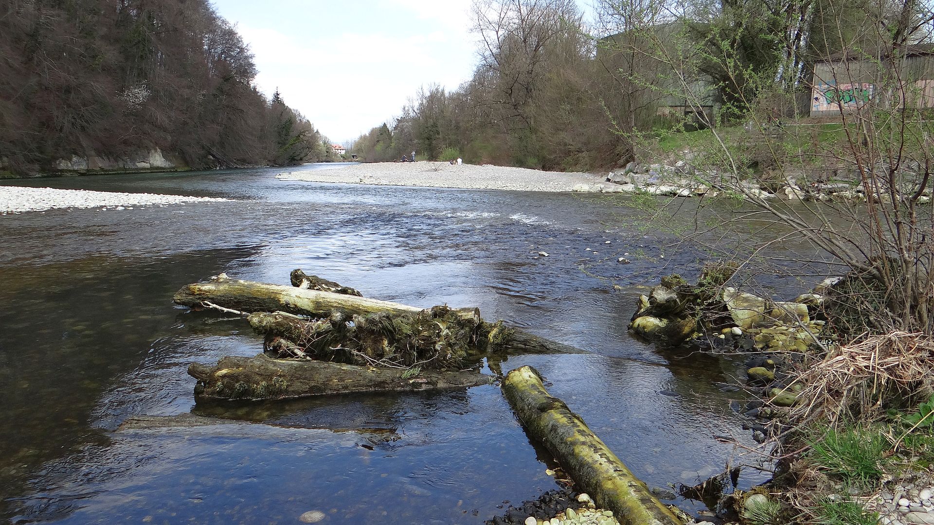 Kajak, Fluss Saane (Sarine), Abschnitt Schiffenen - Aarberg