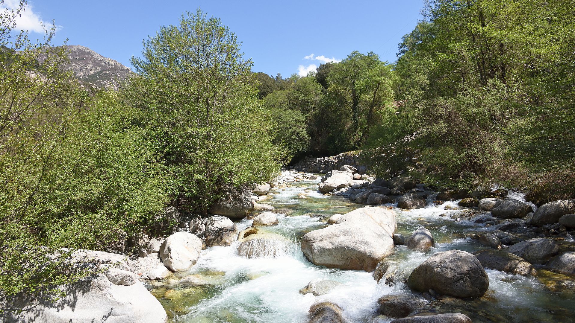 Kajak, Fluss Gravona, Abschnitt Ucciani - Canale (Obere Gravona)
